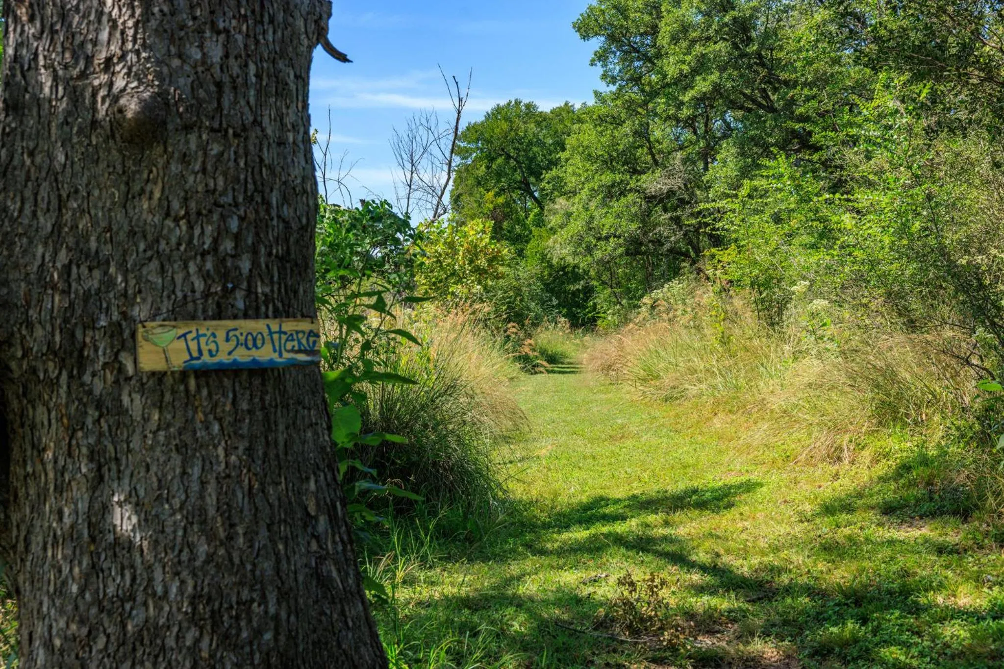 City on a Hill at Spring Creek