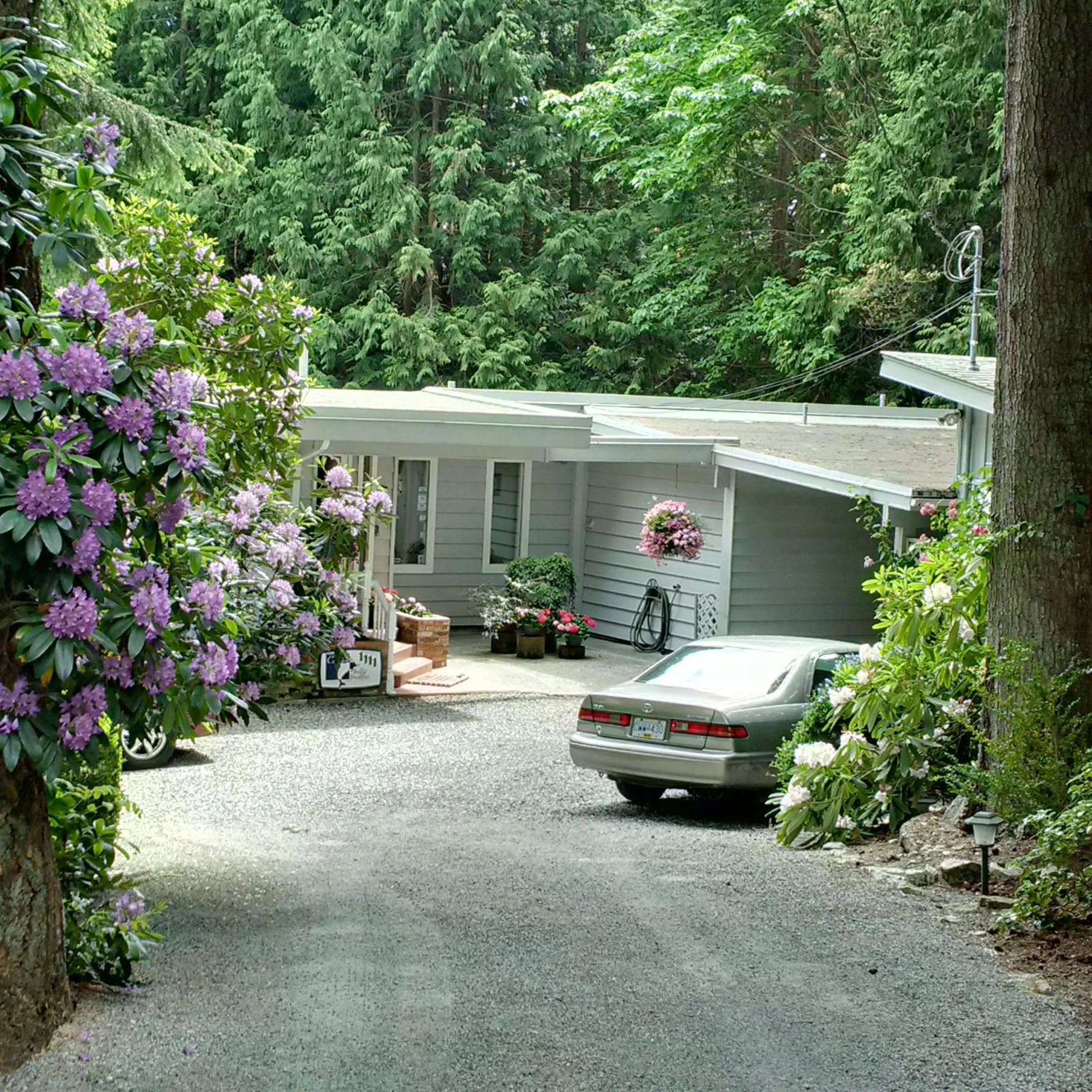 Facade/entrance in Caprice