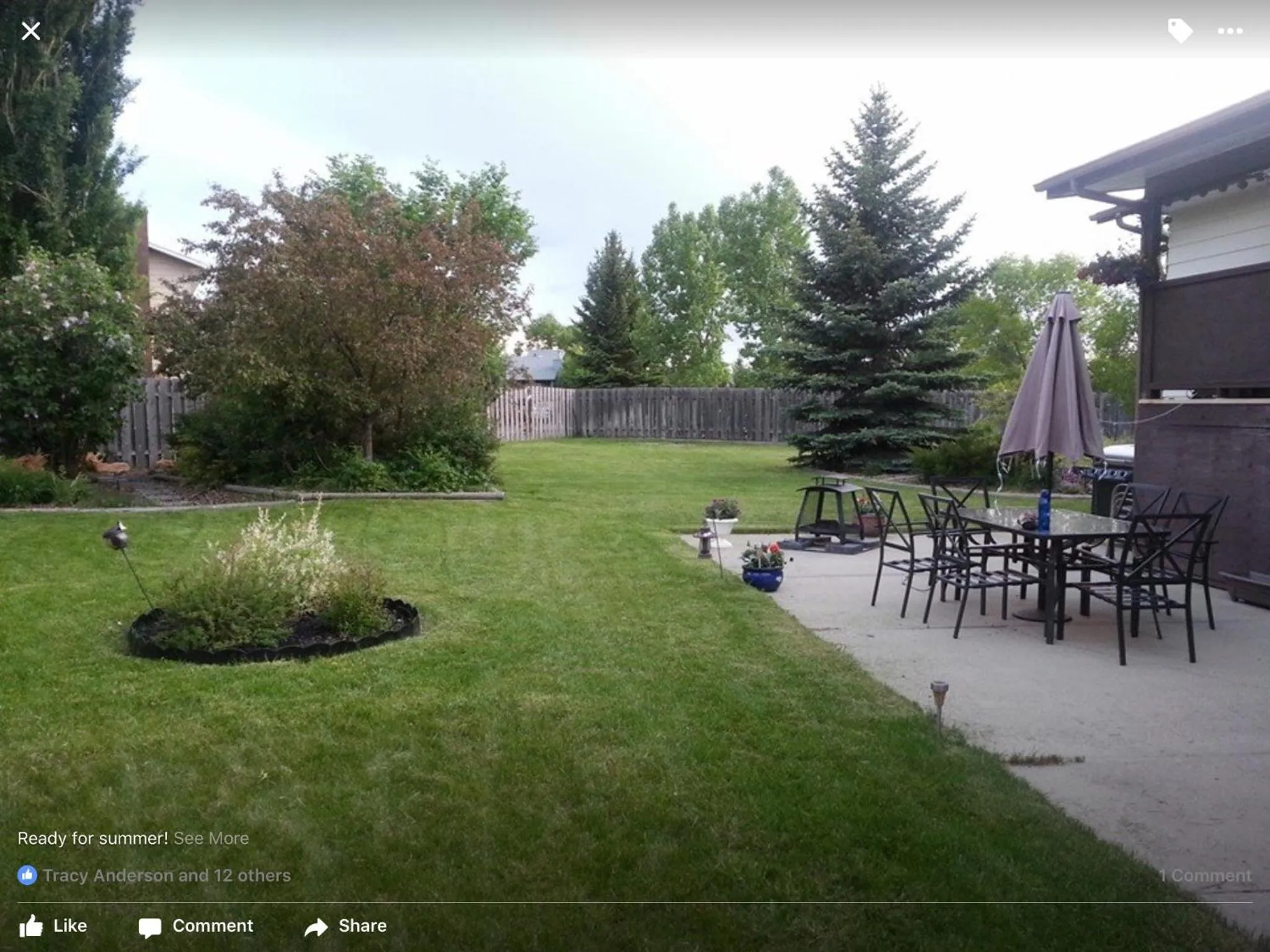 Garden in Newly Renovated Basement Suite!