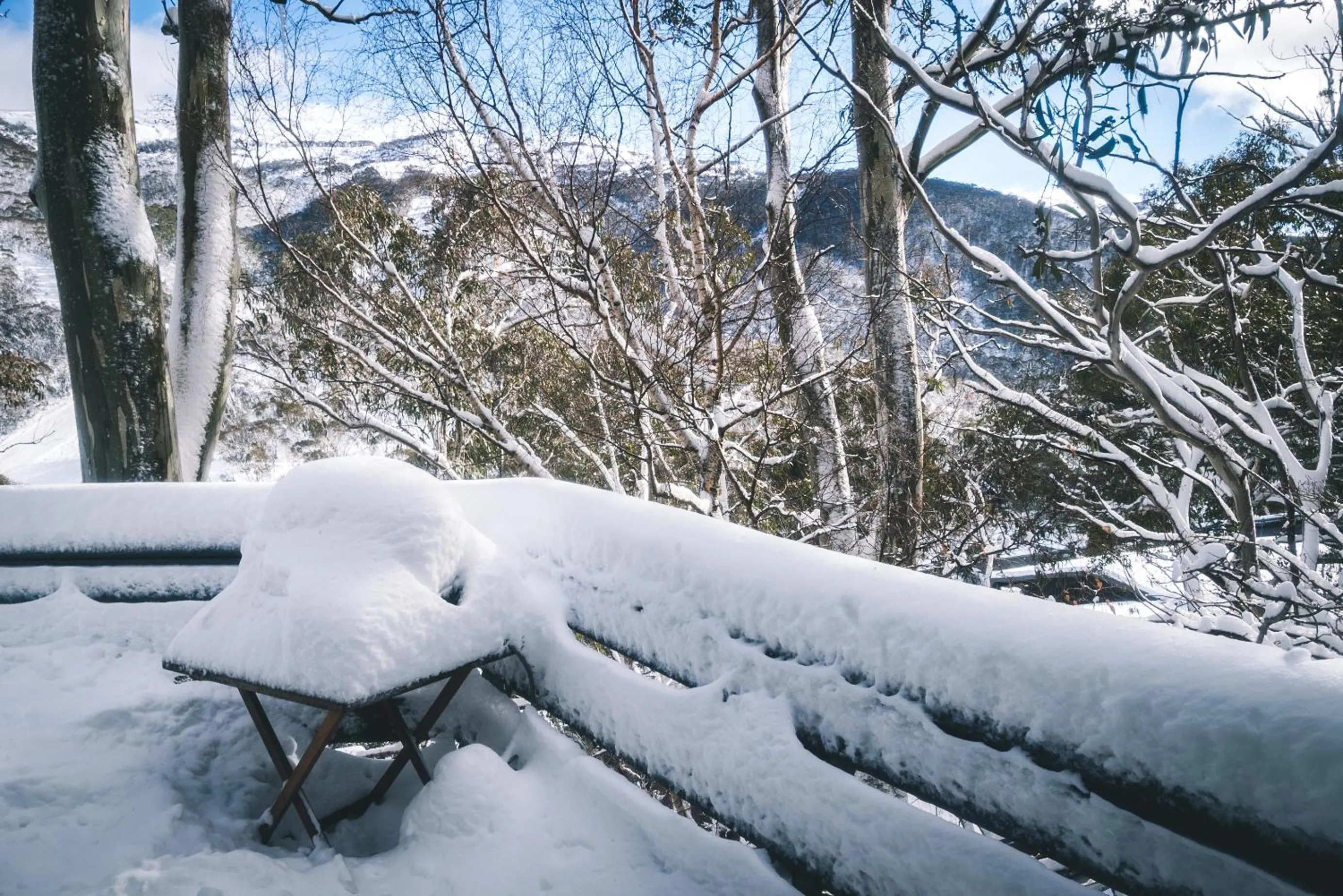 BBQ facilities in Pure Chalet Thredbo