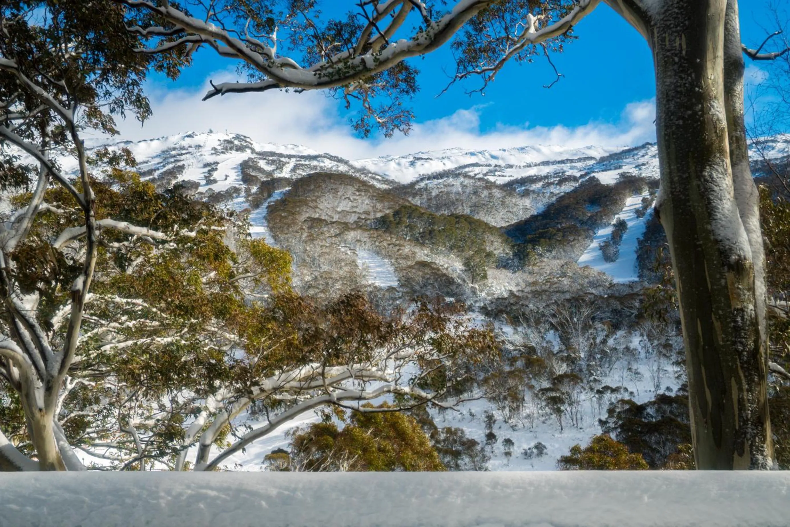 Mountain view in Pure Chalet Thredbo
