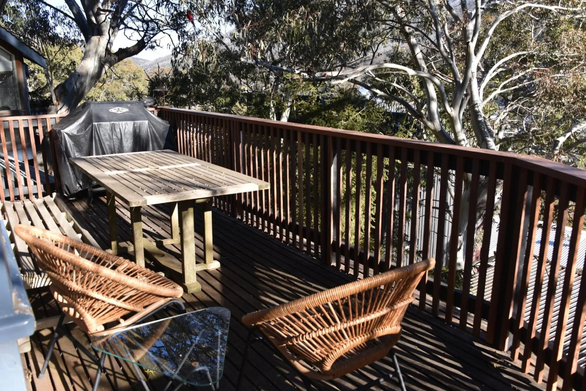 BBQ facilities in Pure Chalet Thredbo