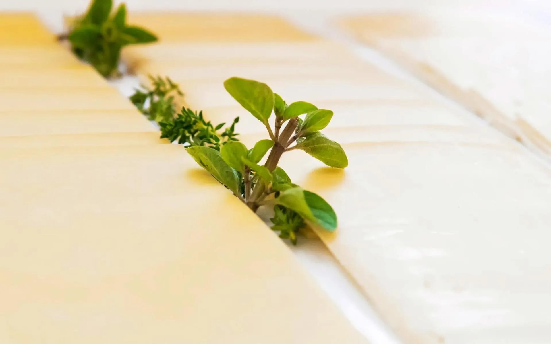 Food and drinks in Hotel Restaurant Spa Torkel