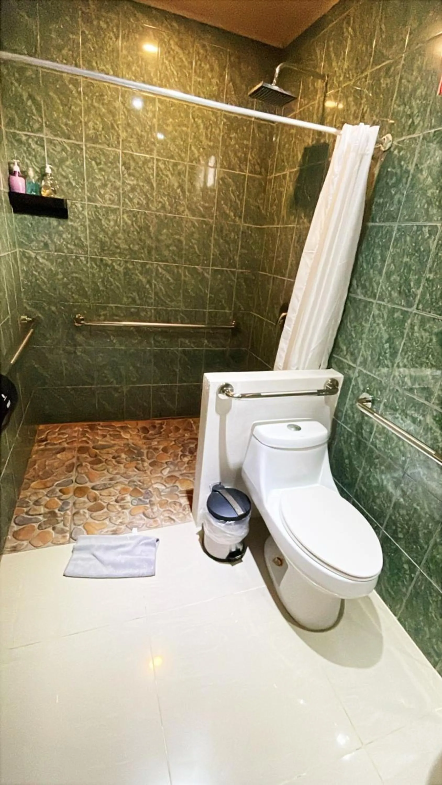 Millenium Manuel Antonio Park and beach