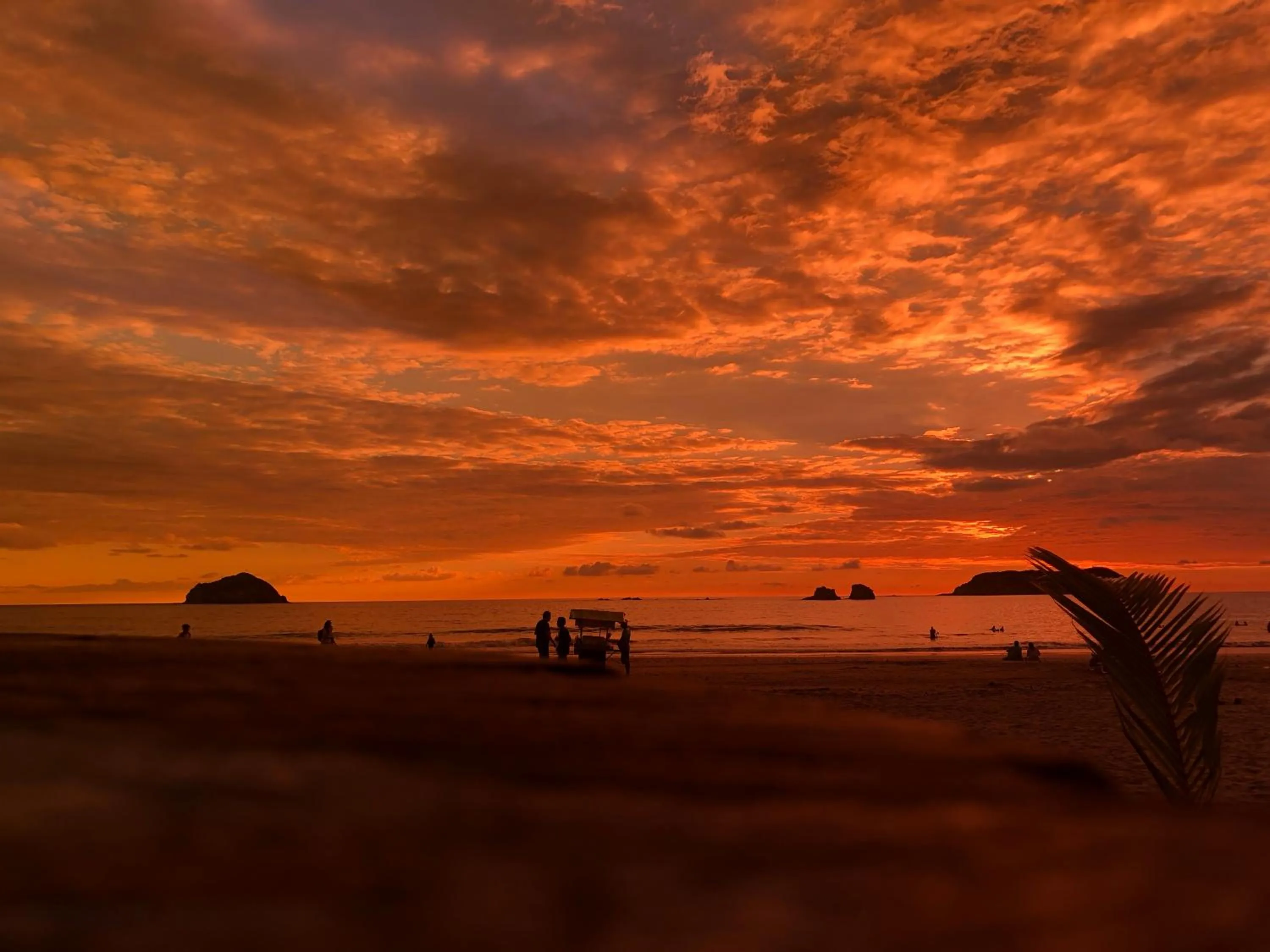 Beach in Millenium Manuel Antonio Park and beach