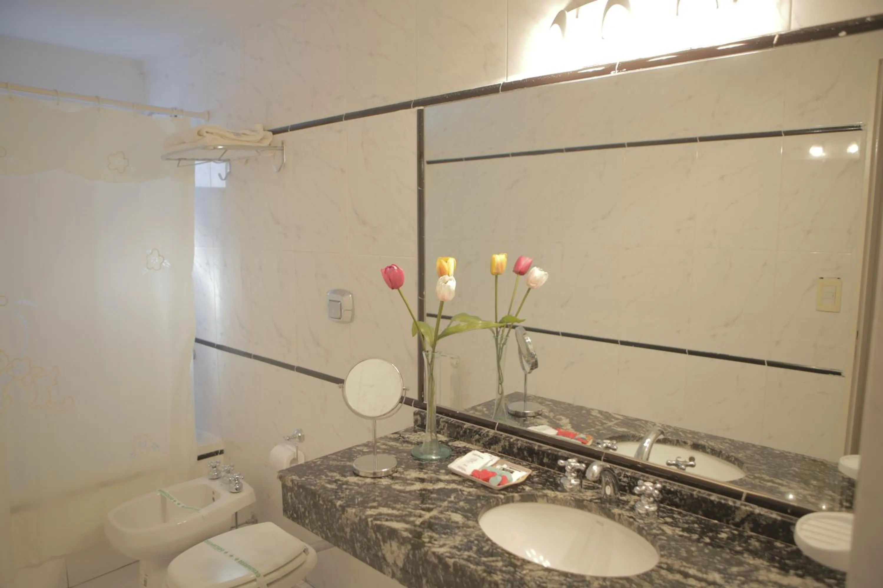 Toilet in Pampa Plaza Hotel