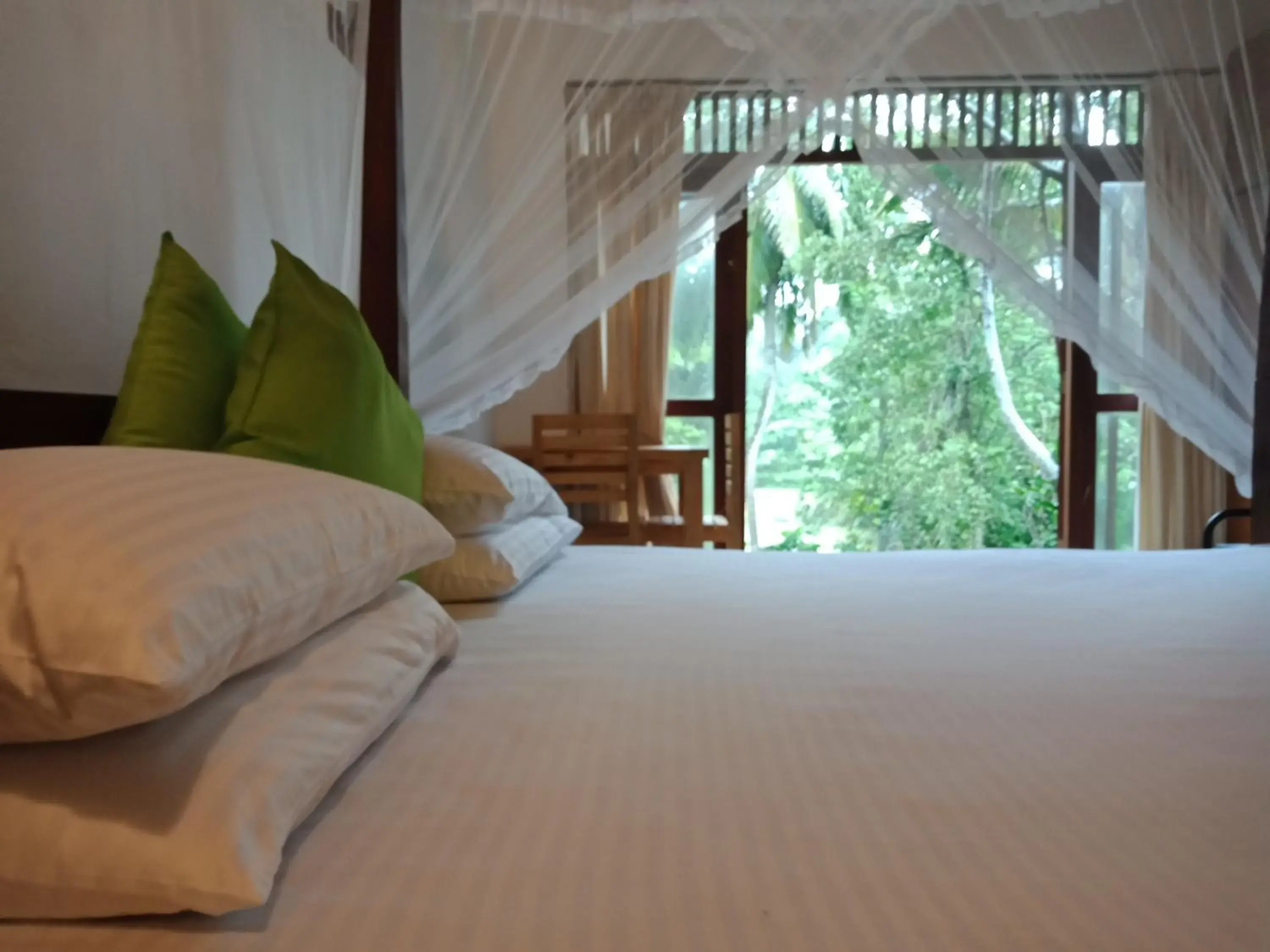 Vacation Home - single occupancy in Eco Breeze - Unawatuna Vacation Home - single occupancy in Eco Breeze - Unawatuna