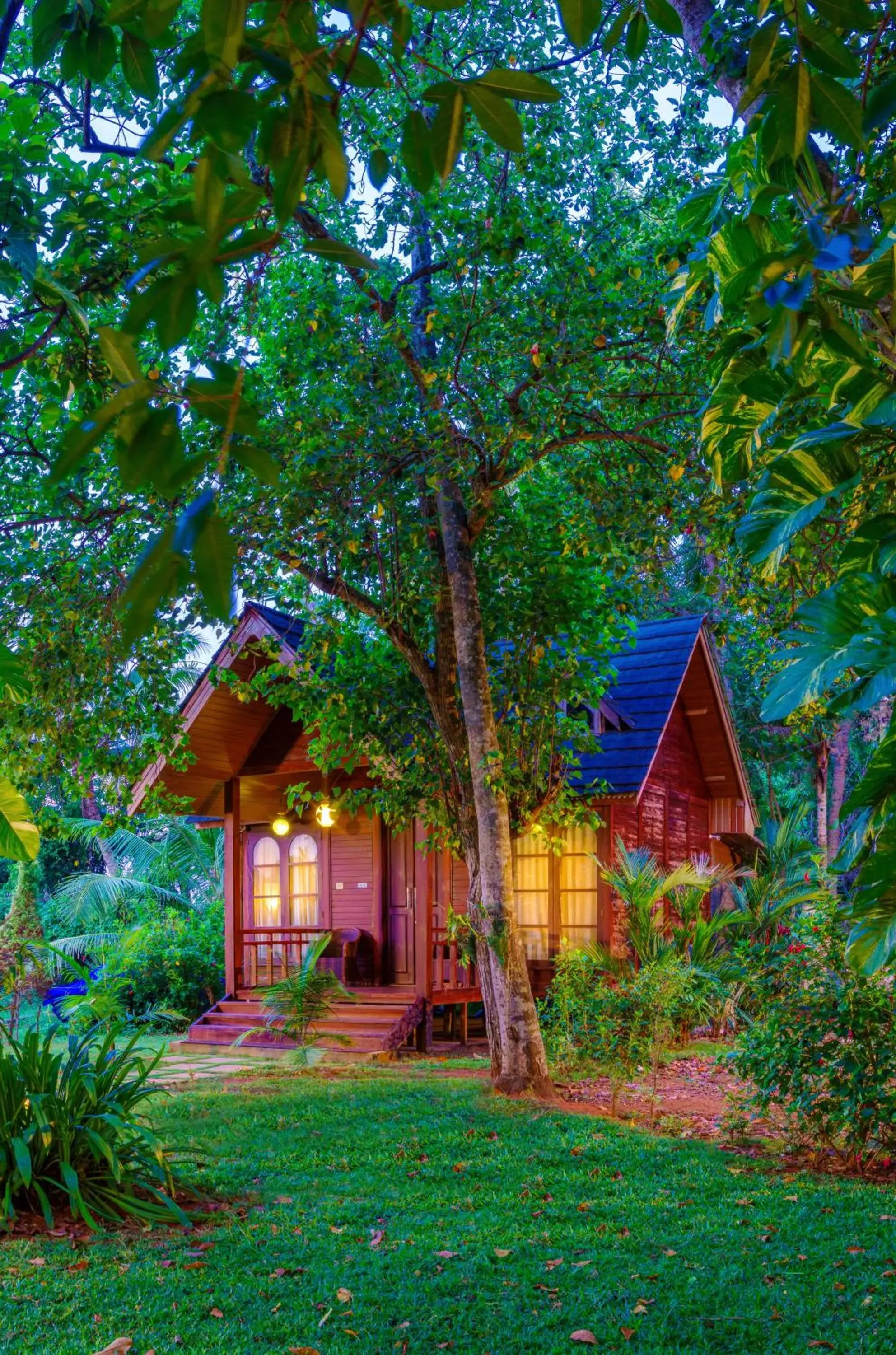 Garden view in Cyrus Resort Garden view in Cyrus Resort