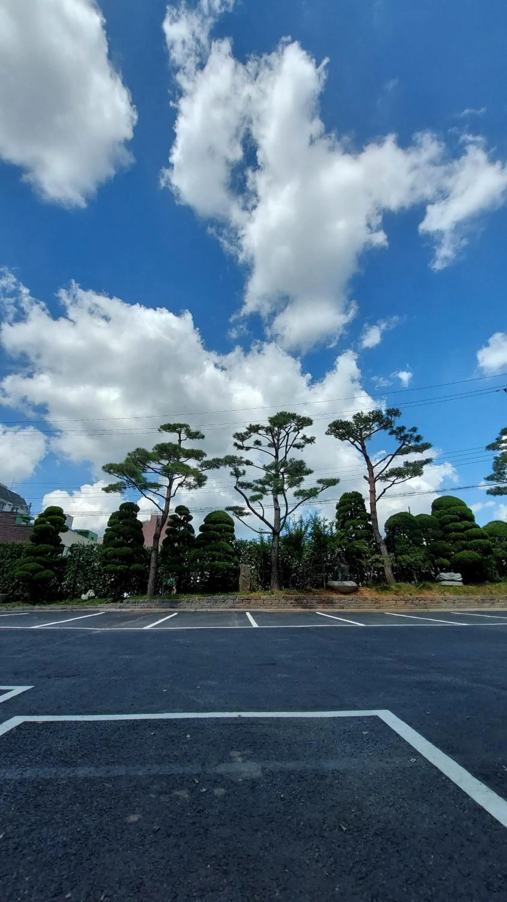 Natural landscape in Seosan Aria Hotel