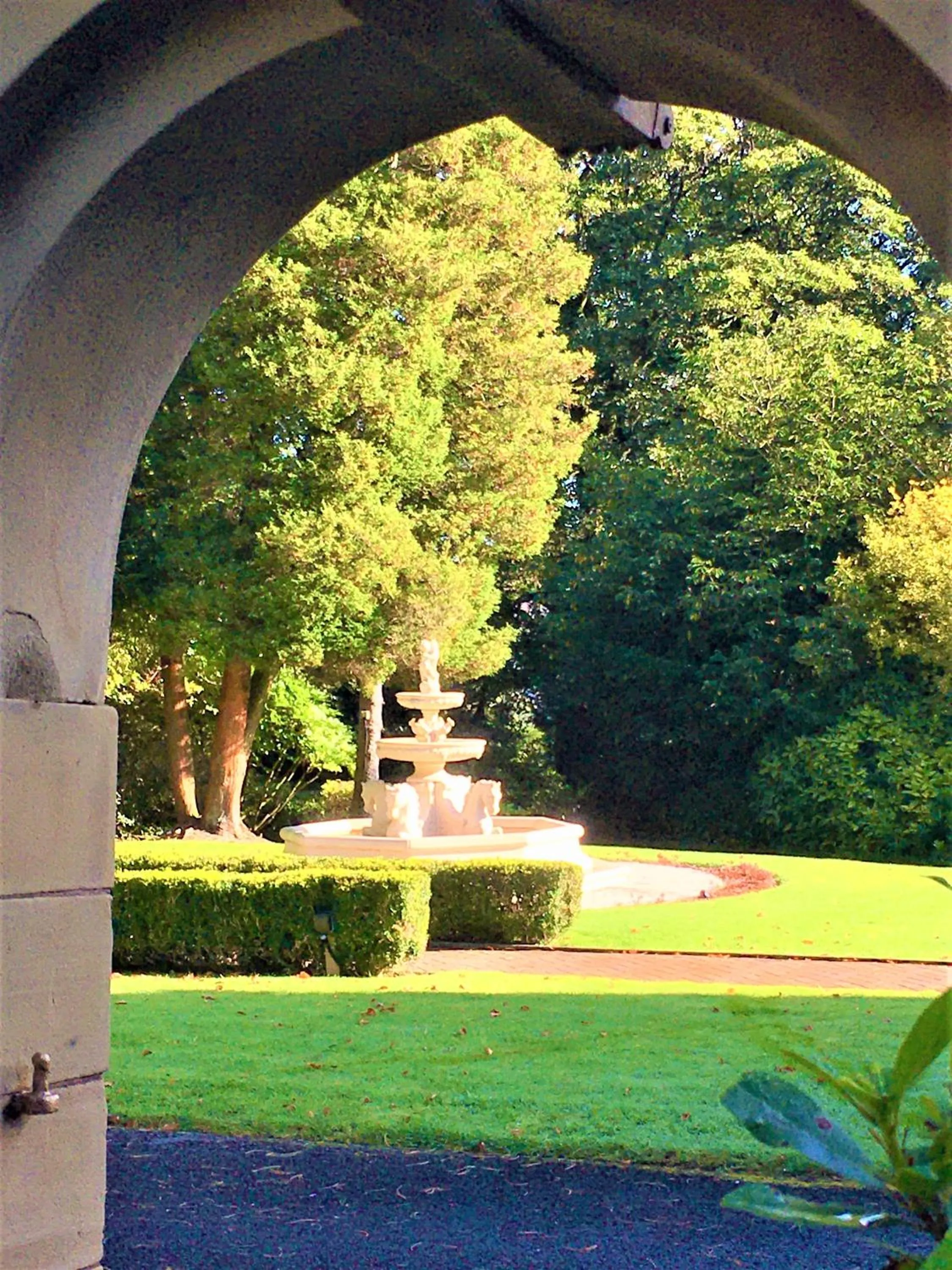 Garden in Astley Bank Hotel
