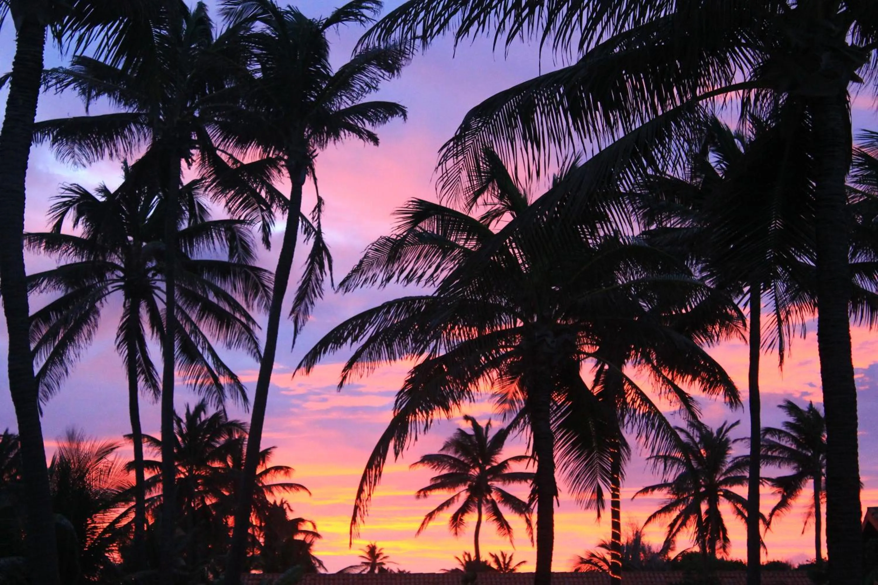 Natural landscape in Hotel Rede Beach