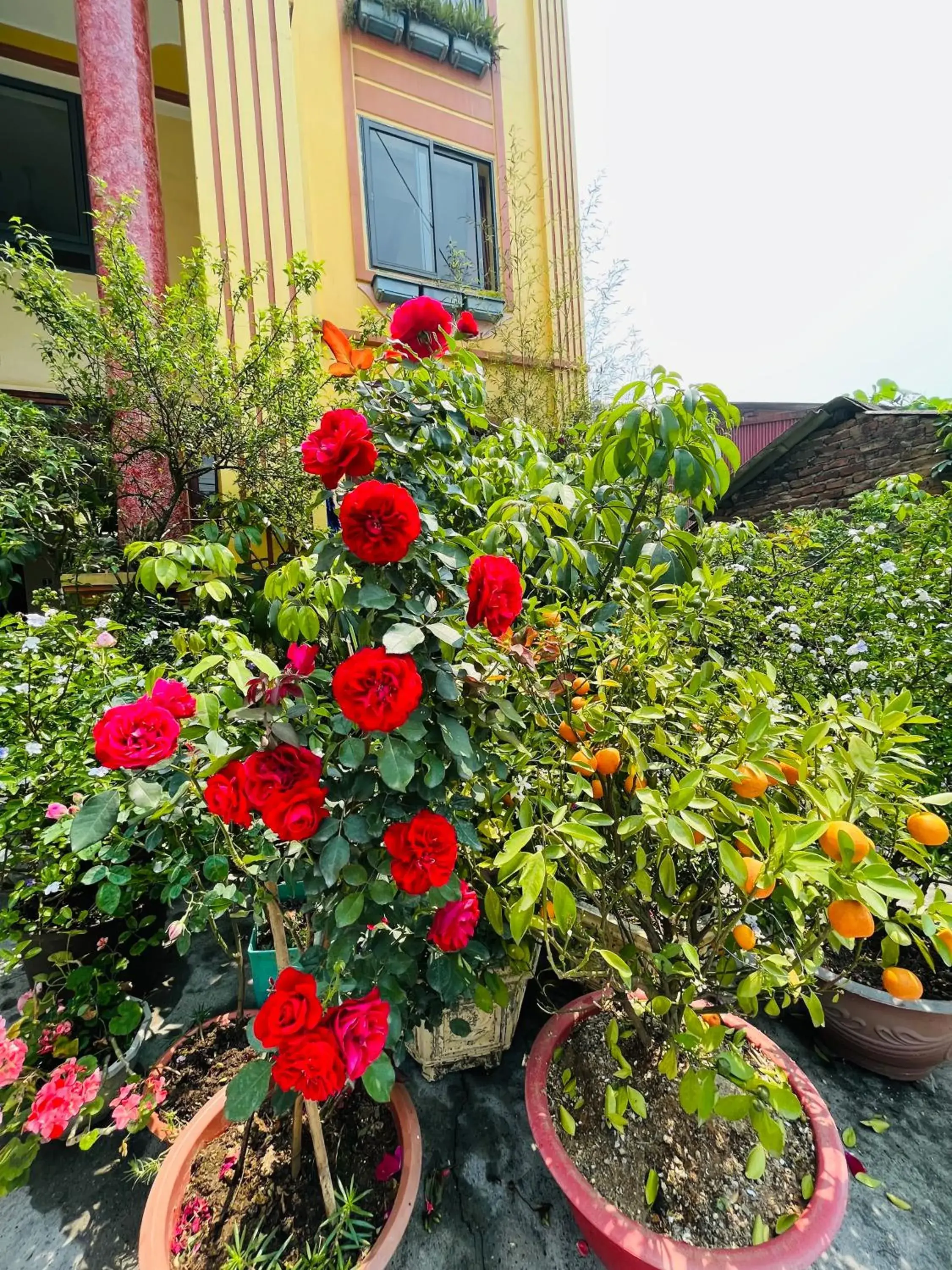 Family Room - single occupancy in Sapa Paramount Hotel Family Room - single occupancy in Sapa Paramount Hotel