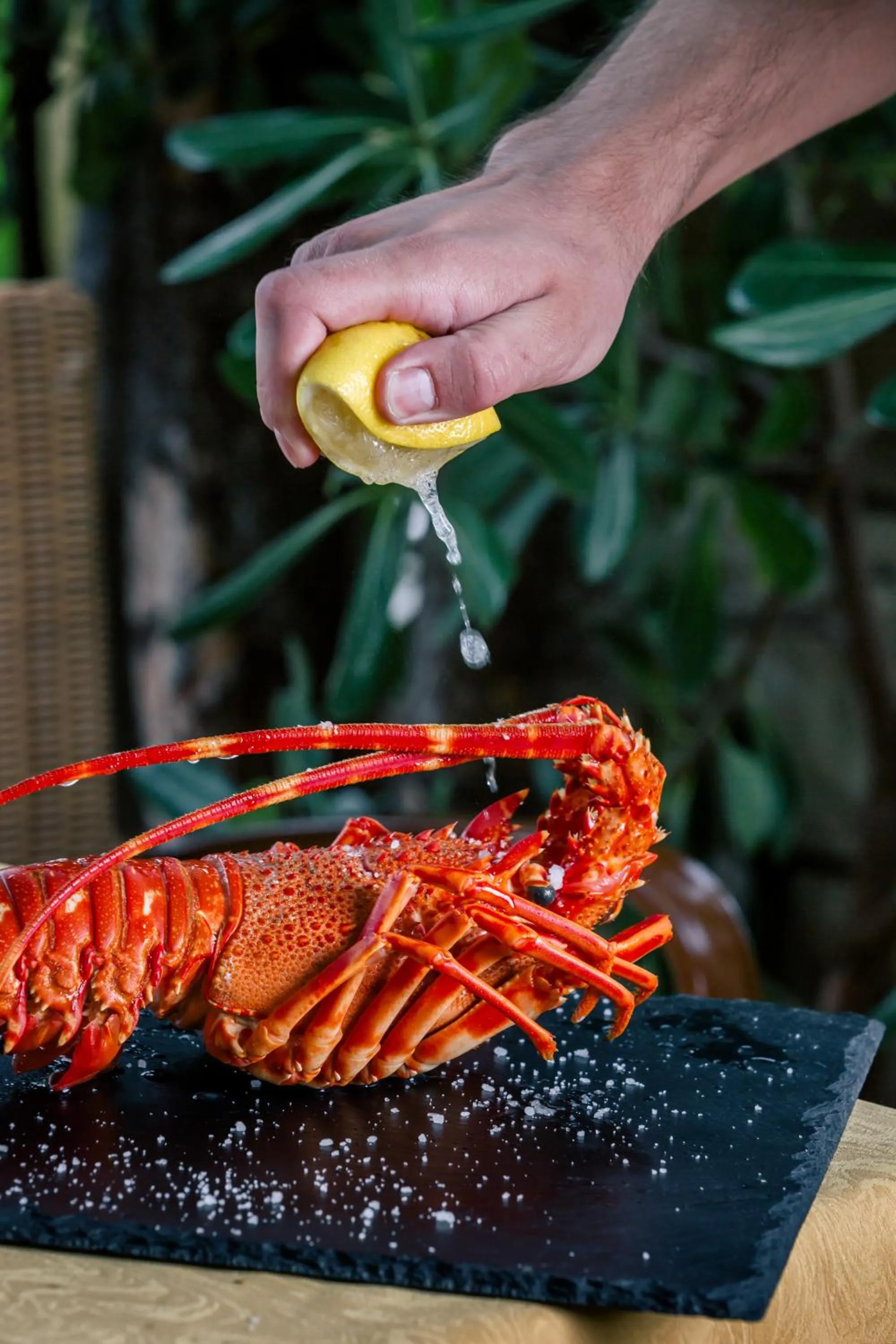 Food close-up in Villa Royal Apartments