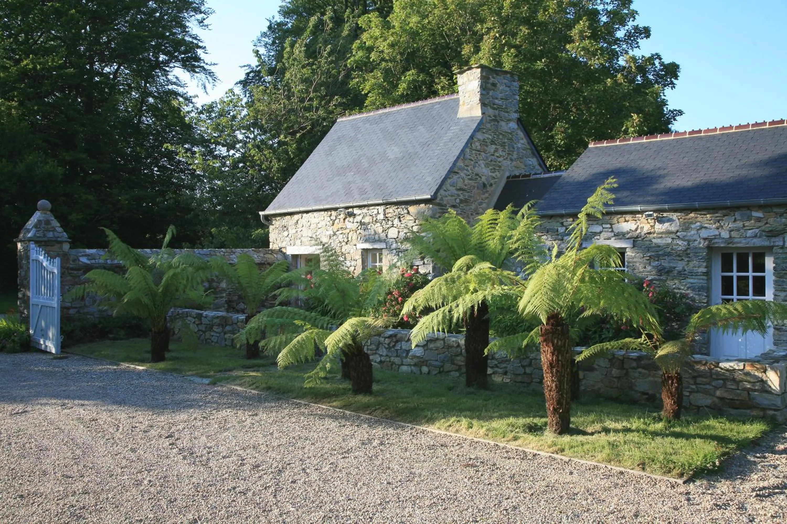 Gîte des Fougères