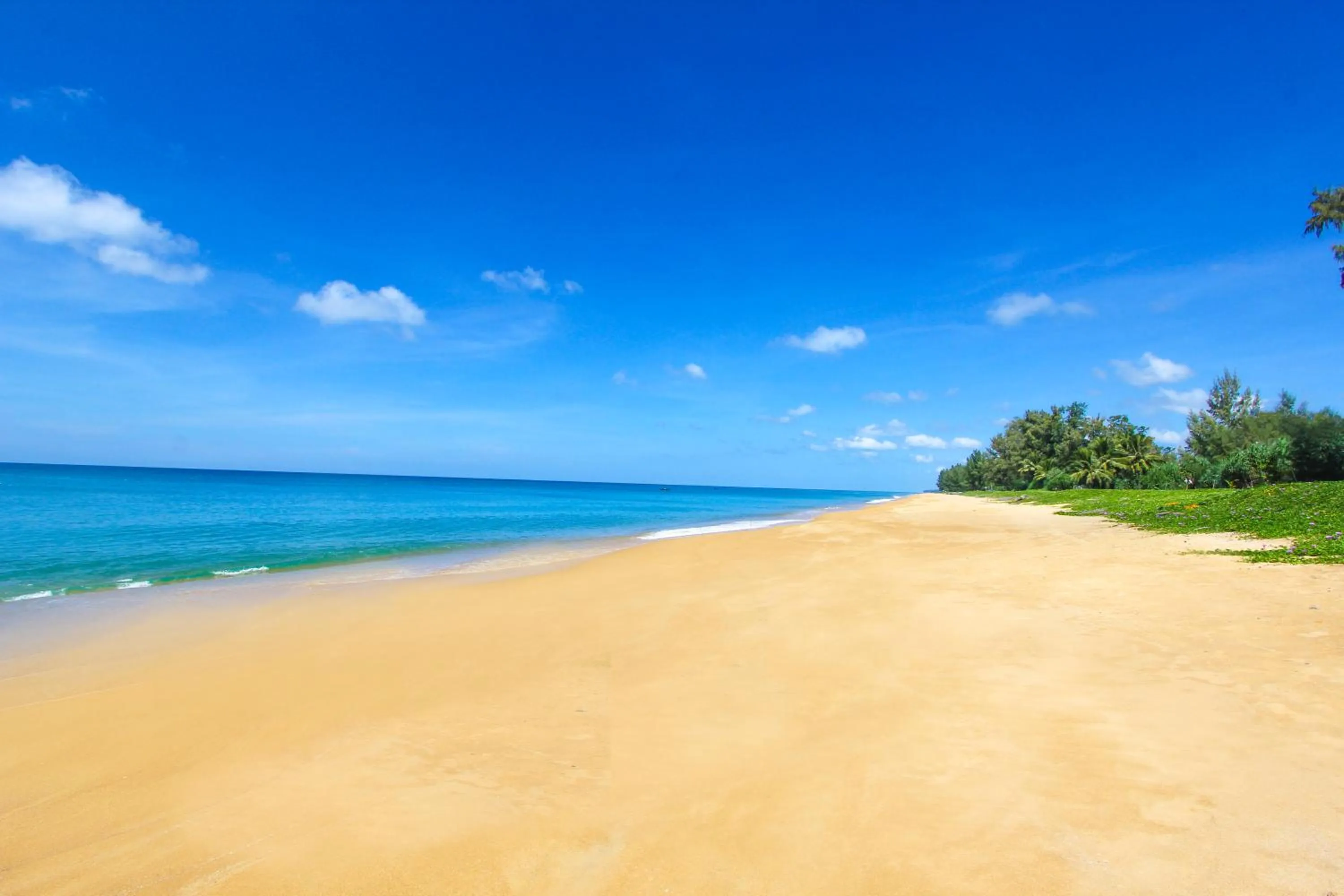 Beach in Maikhao Palm Beach Resort - SHA Plus