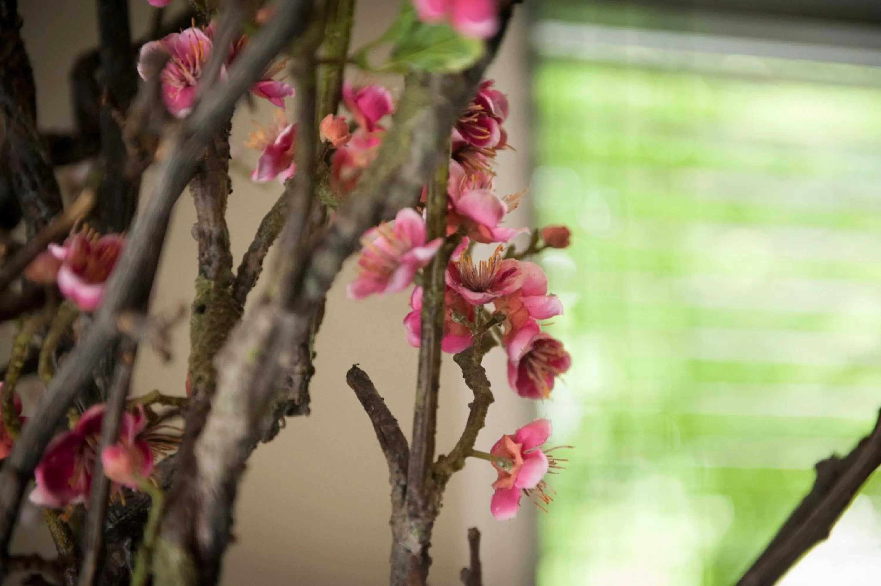 Decorative detail in B&B The Butchers Wife
