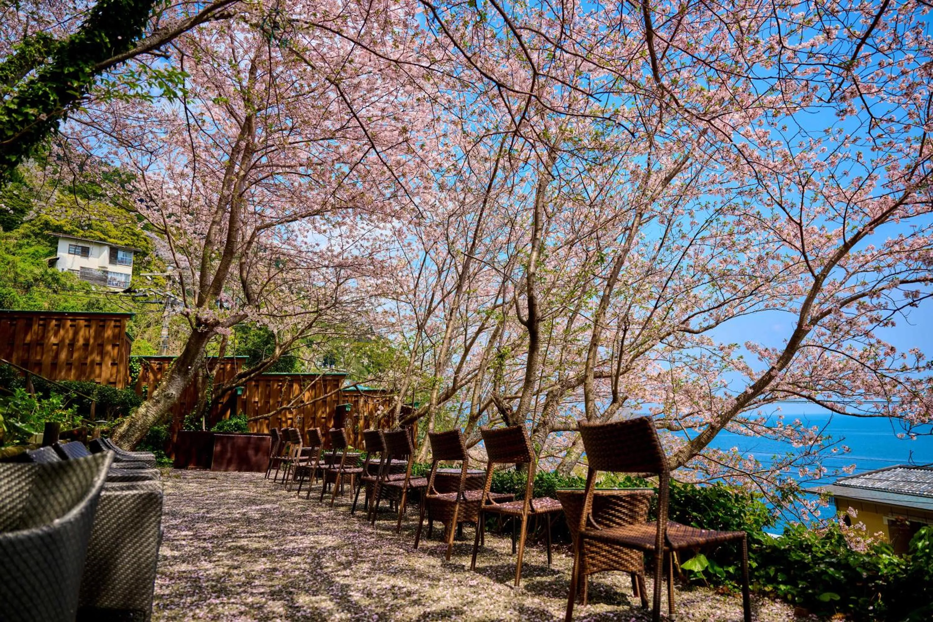 Balcony/Terrace in Kissho Caren