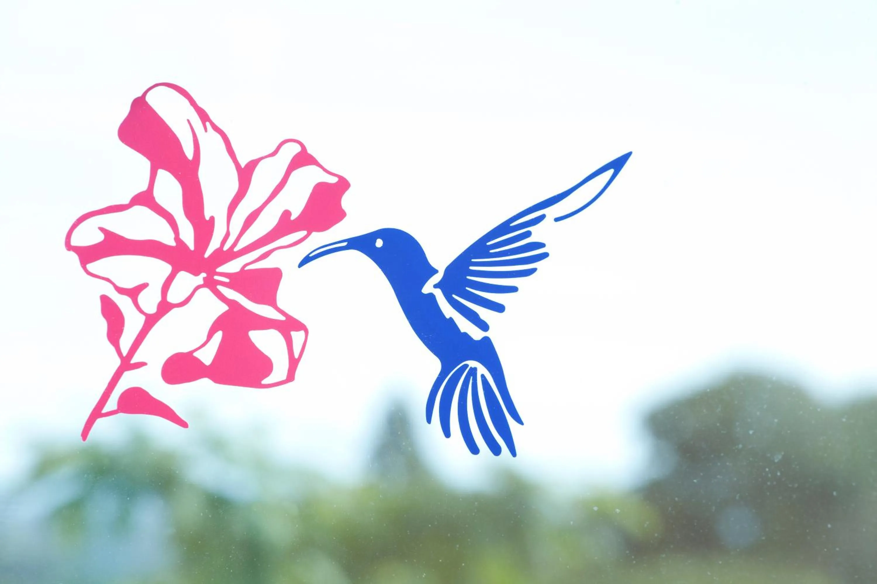 Other in Hôtel Le Kolibri