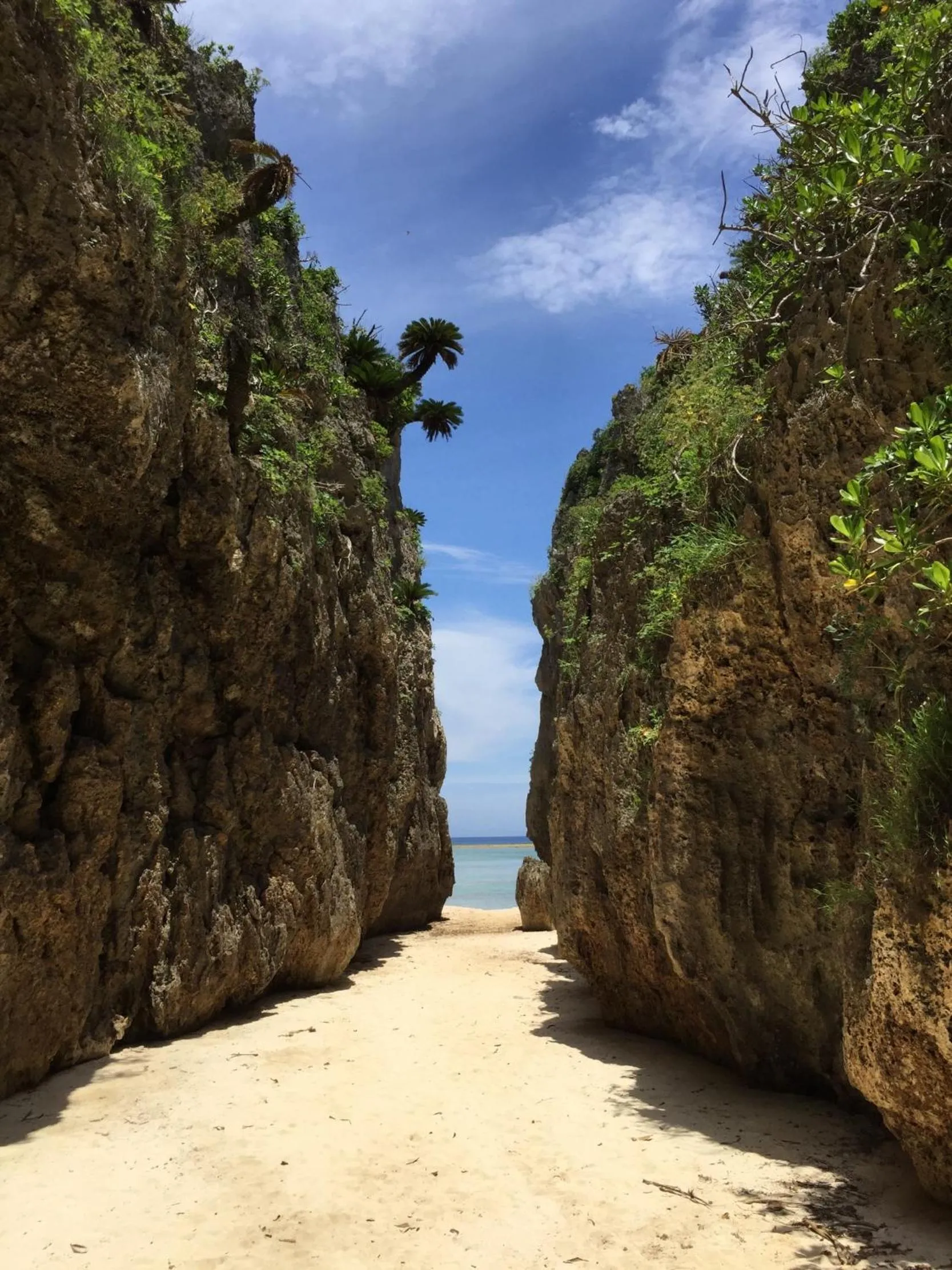 Off site in Tabinoteitaku Okinawa Bise HOMANN CONCEPT