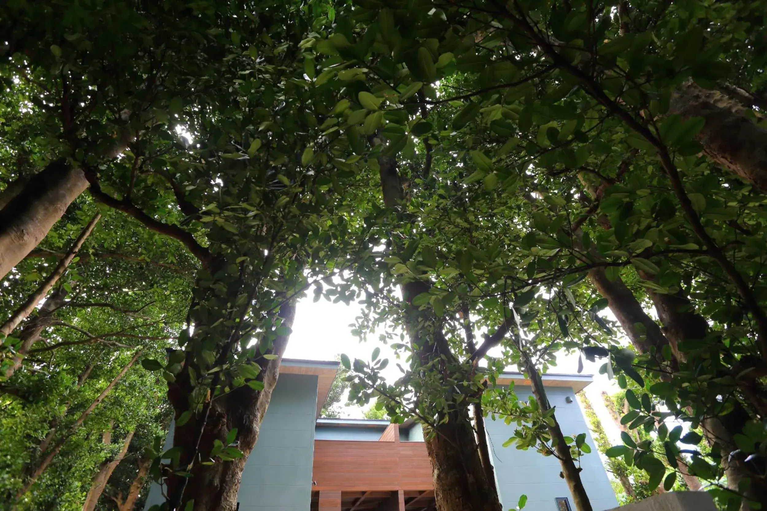 Property building in Tabinoteitaku Okinawa Bise HOMANN CONCEPT Property building in Tabinoteitaku Okinawa Bise HOMANN CONCEPT