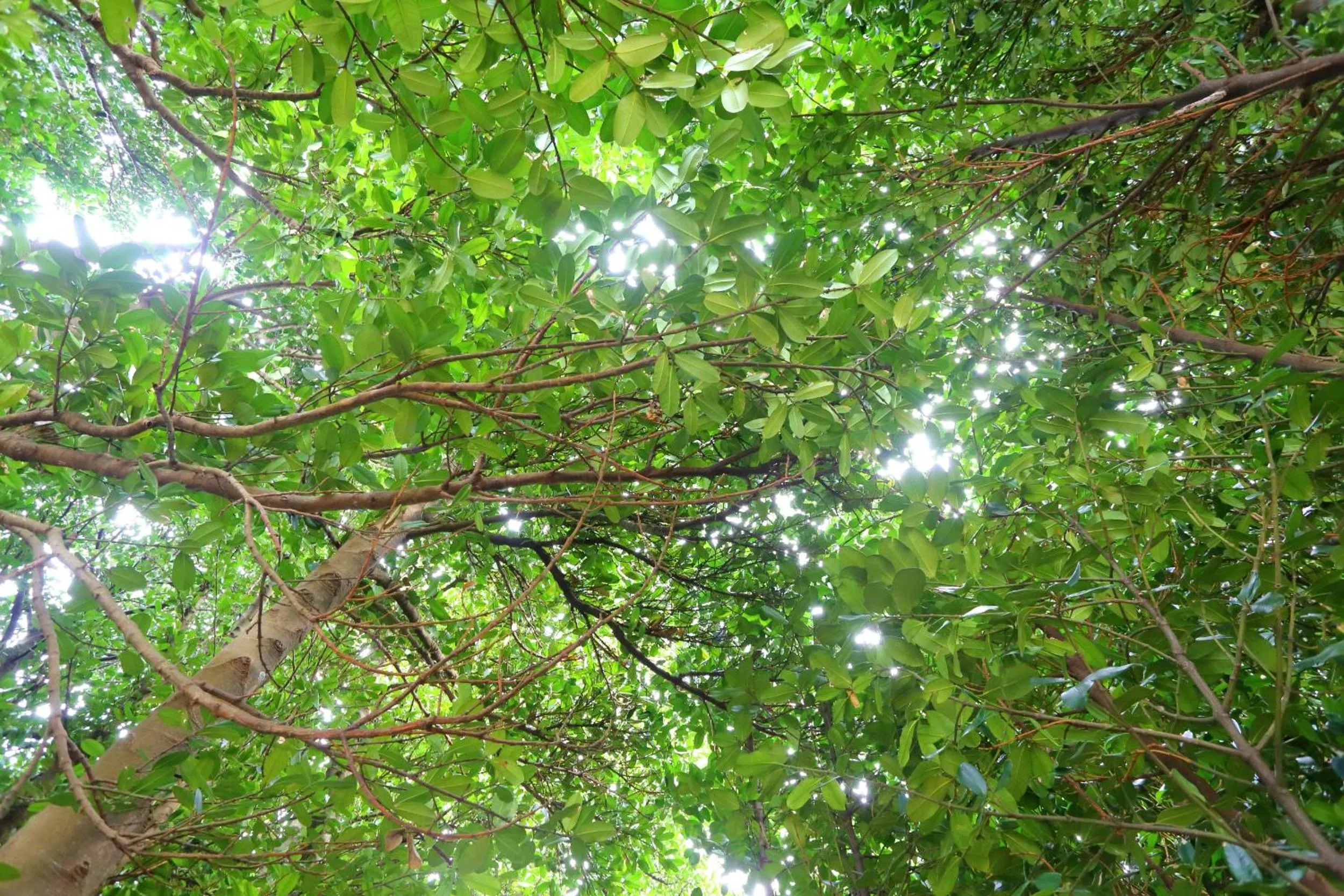 Neighbourhood in Tabinoteitaku Okinawa Bise HOMANN CONCEPT