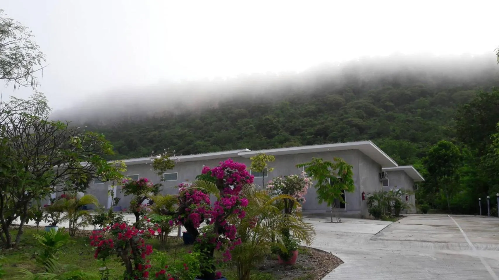 Mountain view in Phurang Hill Resort