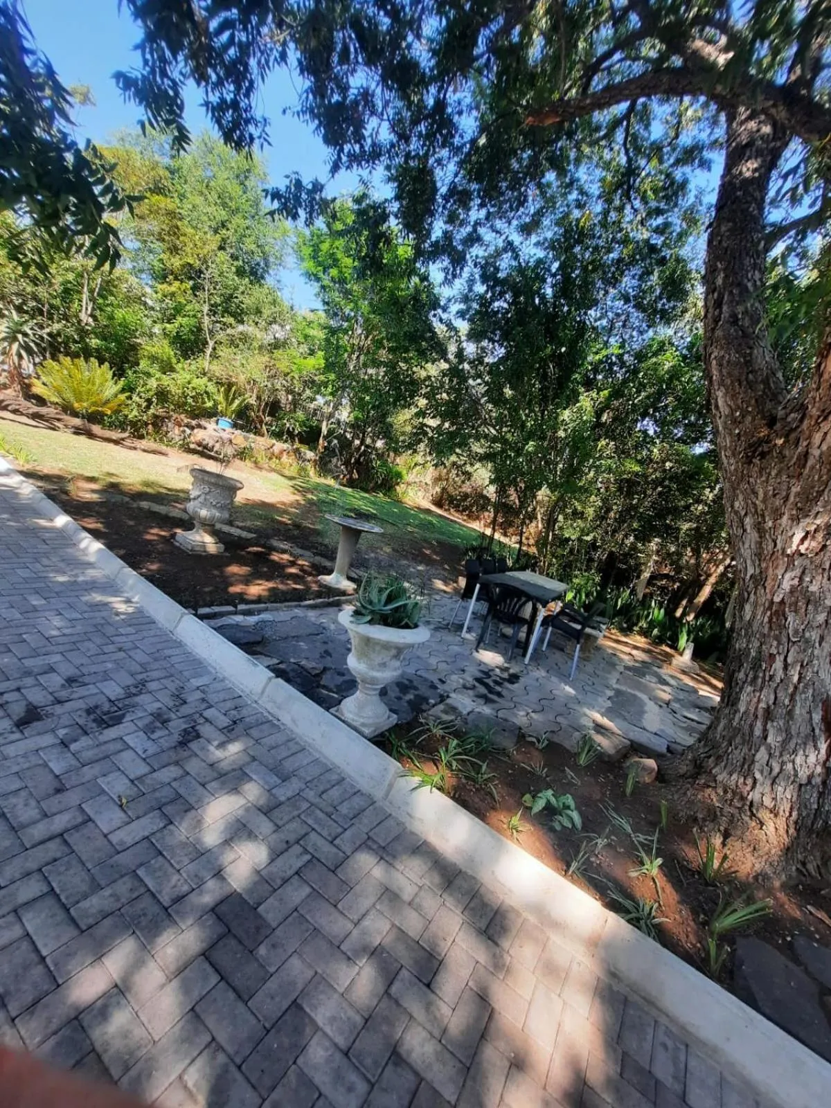 Garden view in Lavender Lane