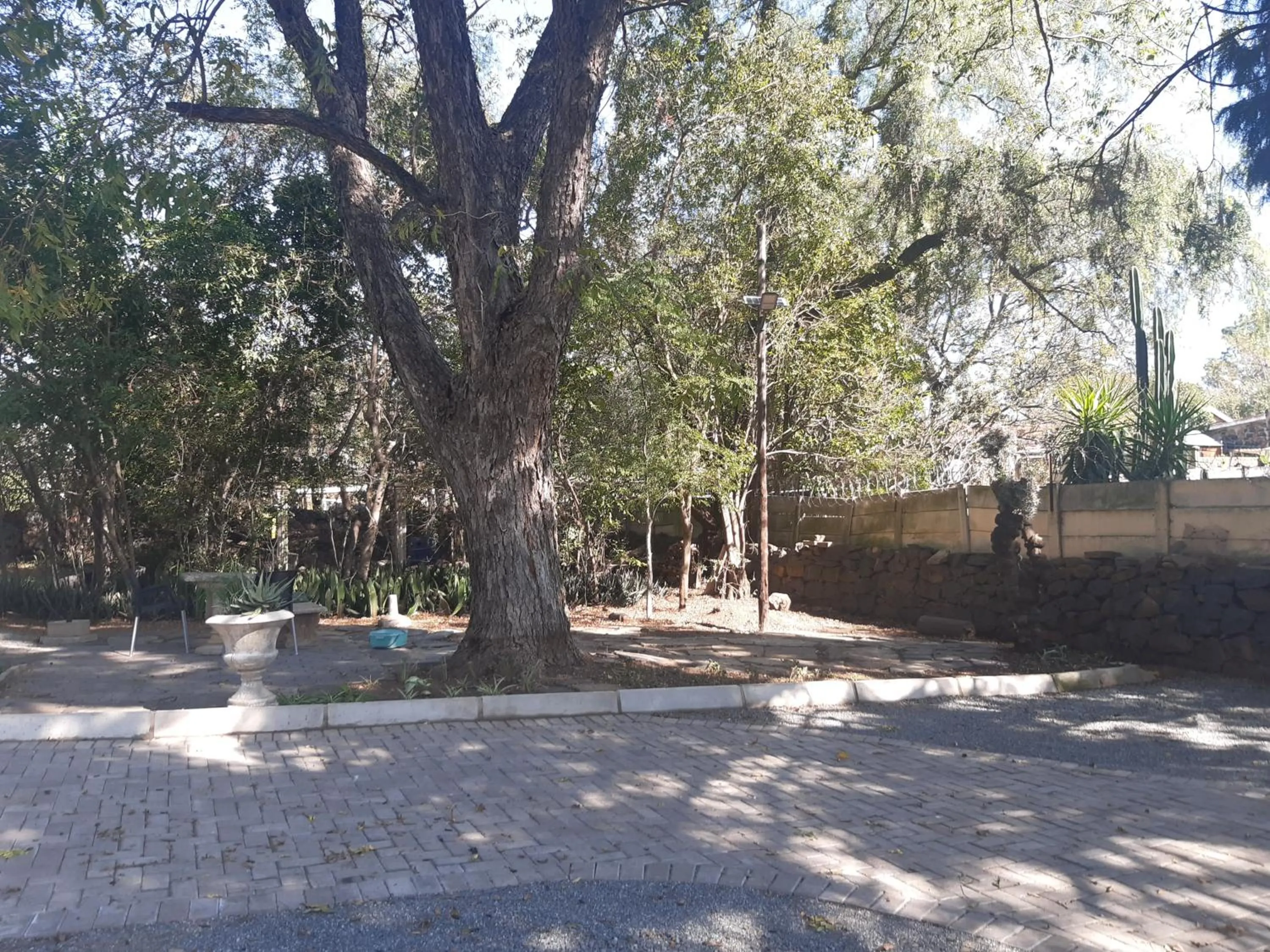 Natural landscape in Lavender Lane