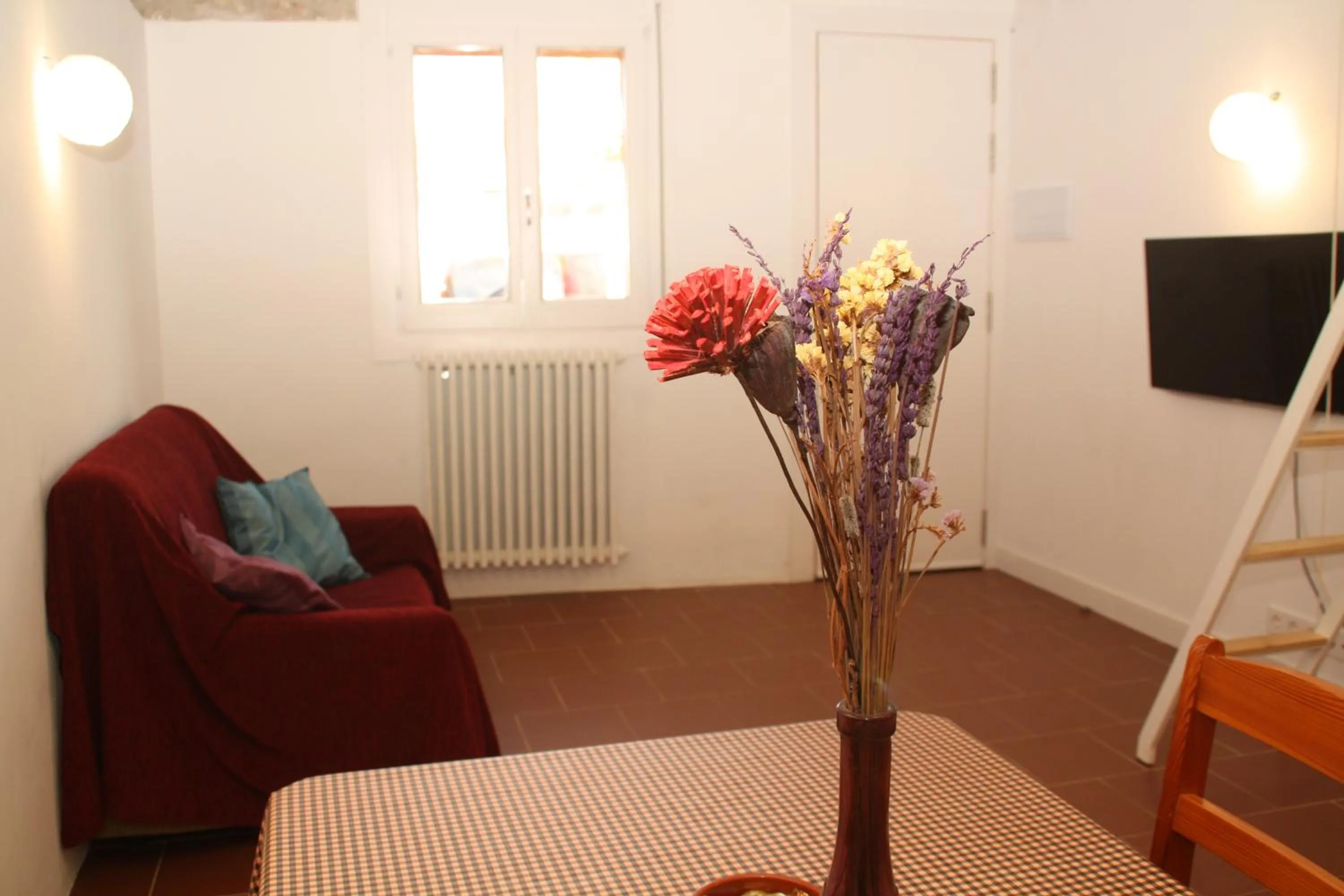 TV and multimedia in Cal Riba