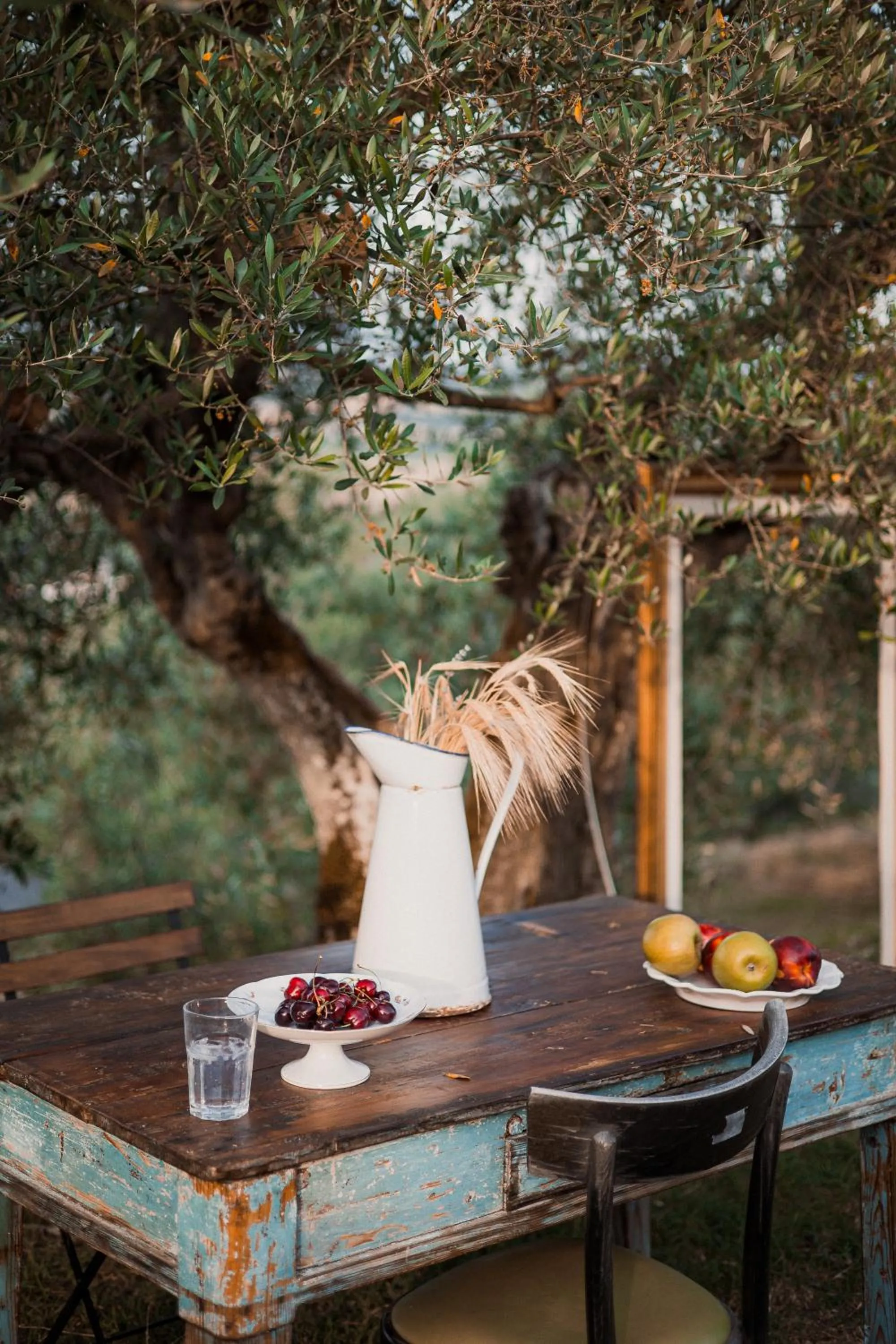 Natural landscape in Casa Montalgallo