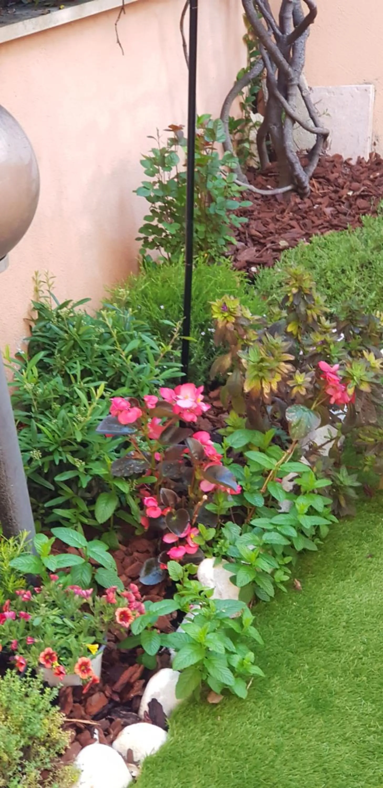 Garden view in B&B Vista su Roma