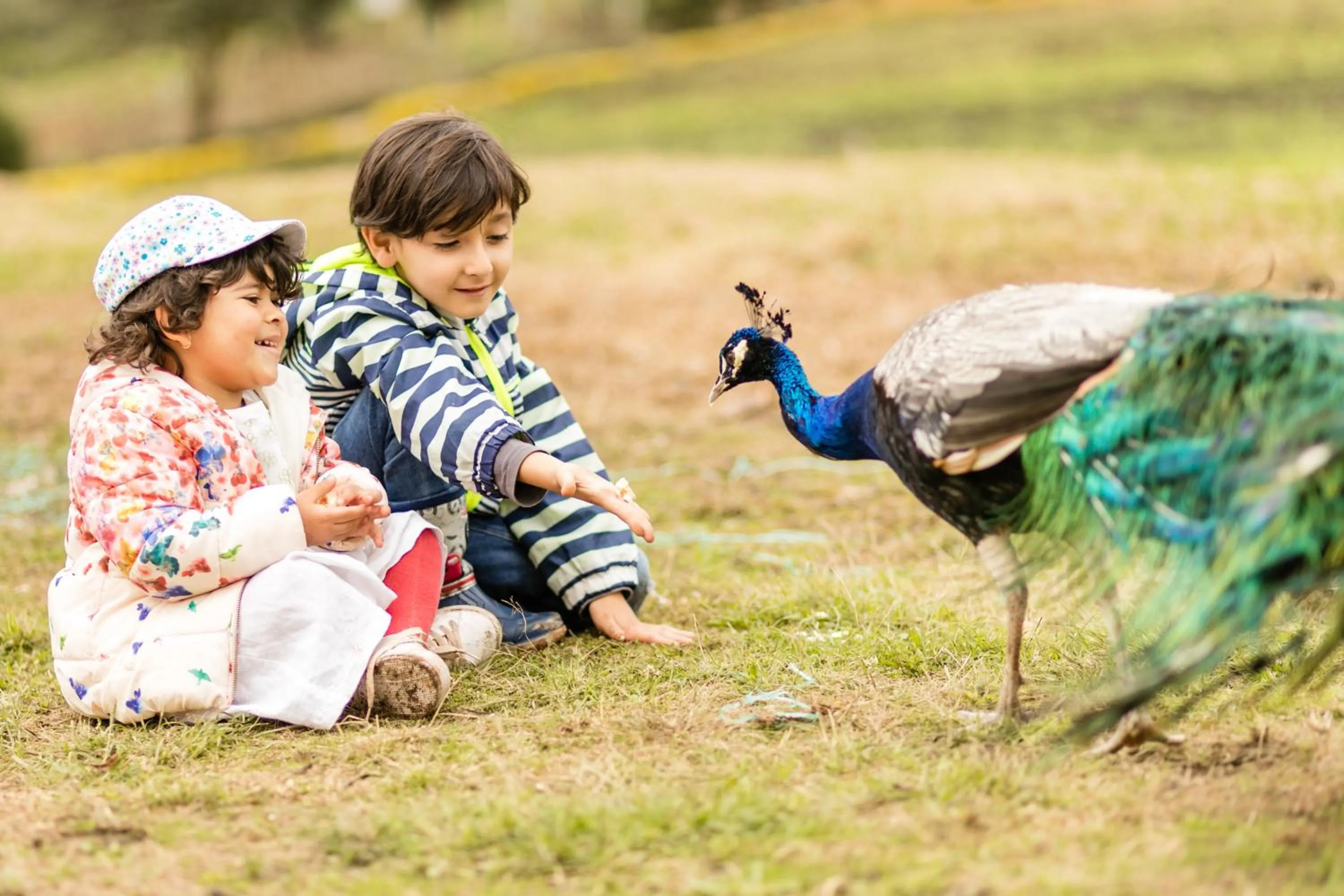children in Hotel Campestre La Periquera