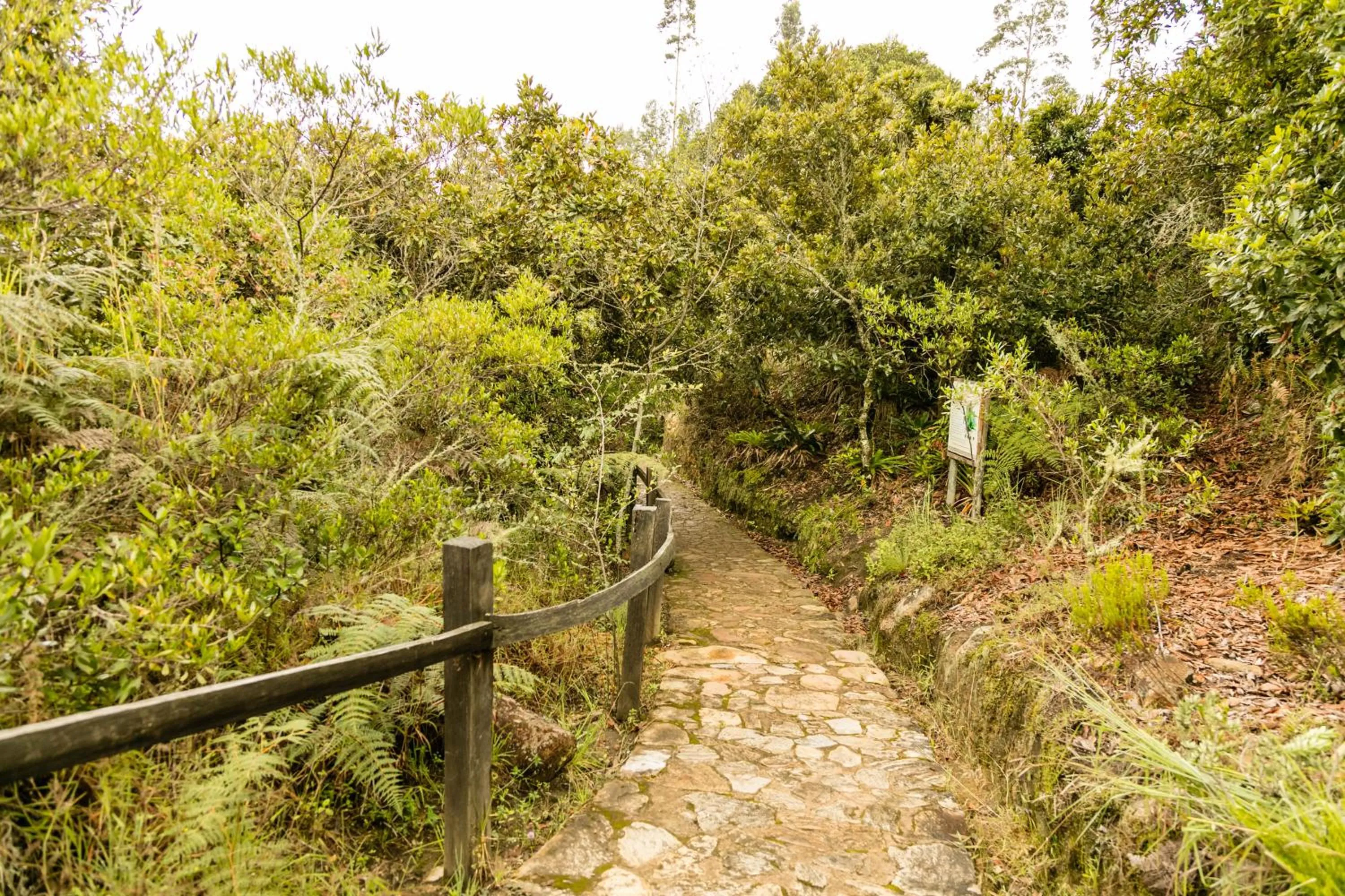 Natural landscape in Hotel Campestre La Periquera