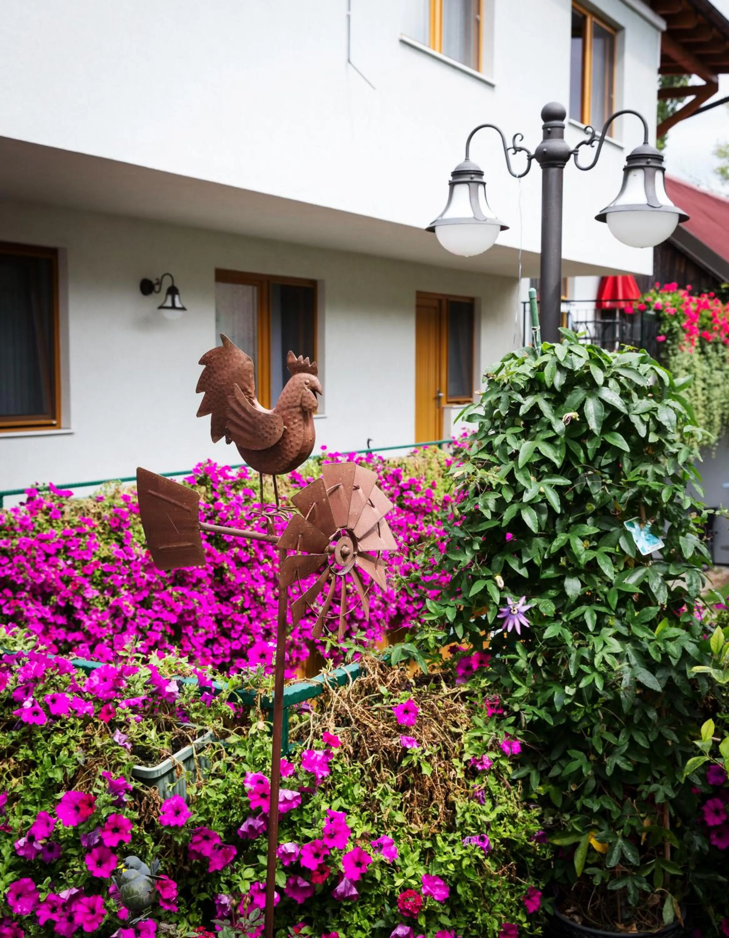 Property building in Weingut und Gästehaus Salzl