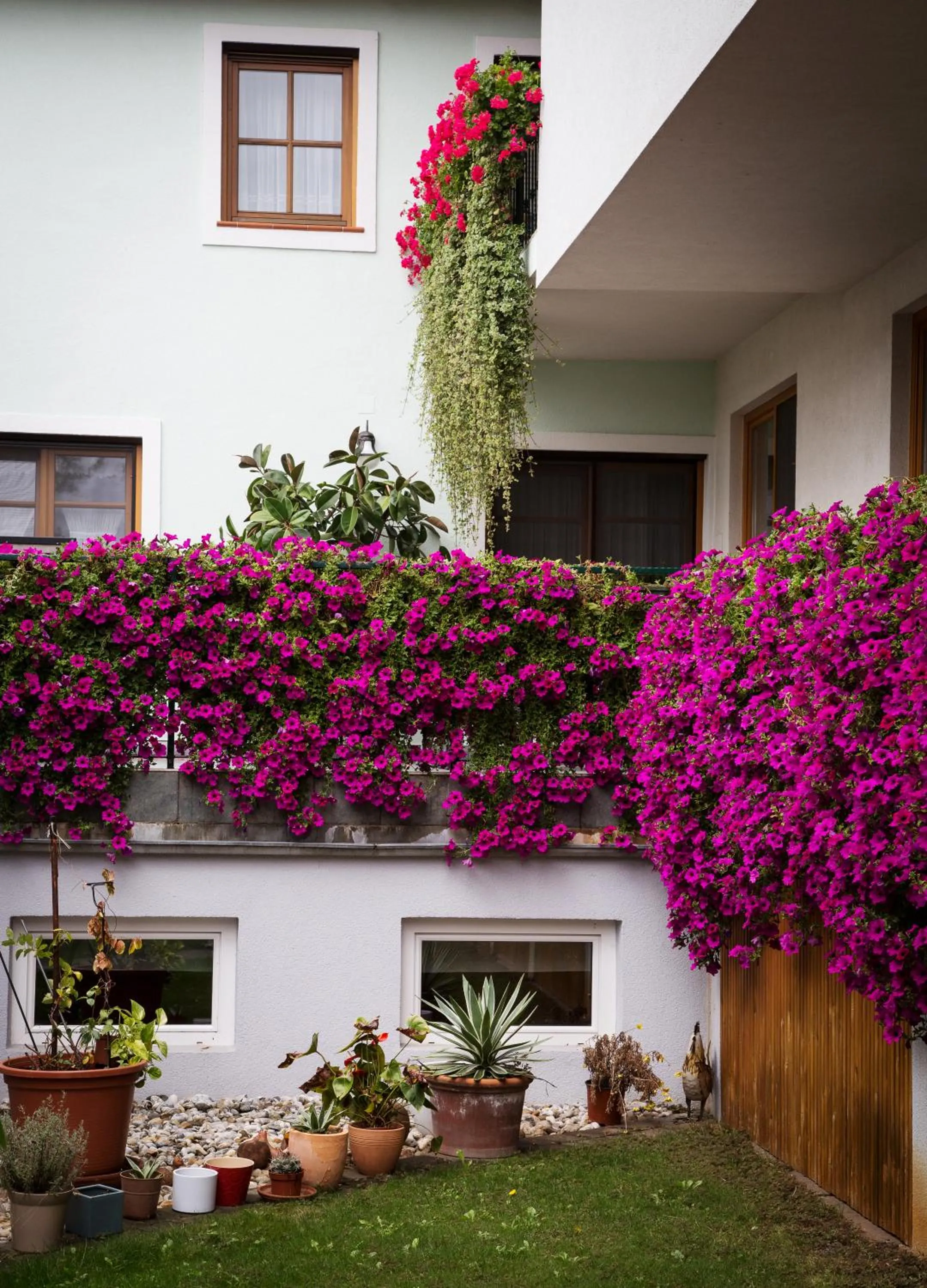Garden in Weingut und Gästehaus Salzl