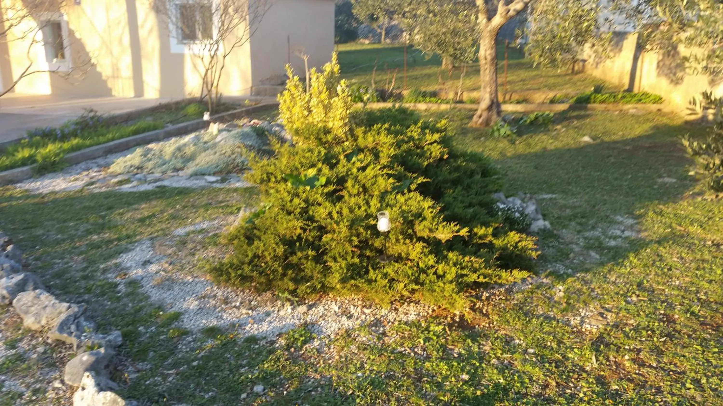 Garden in Apartment Nika