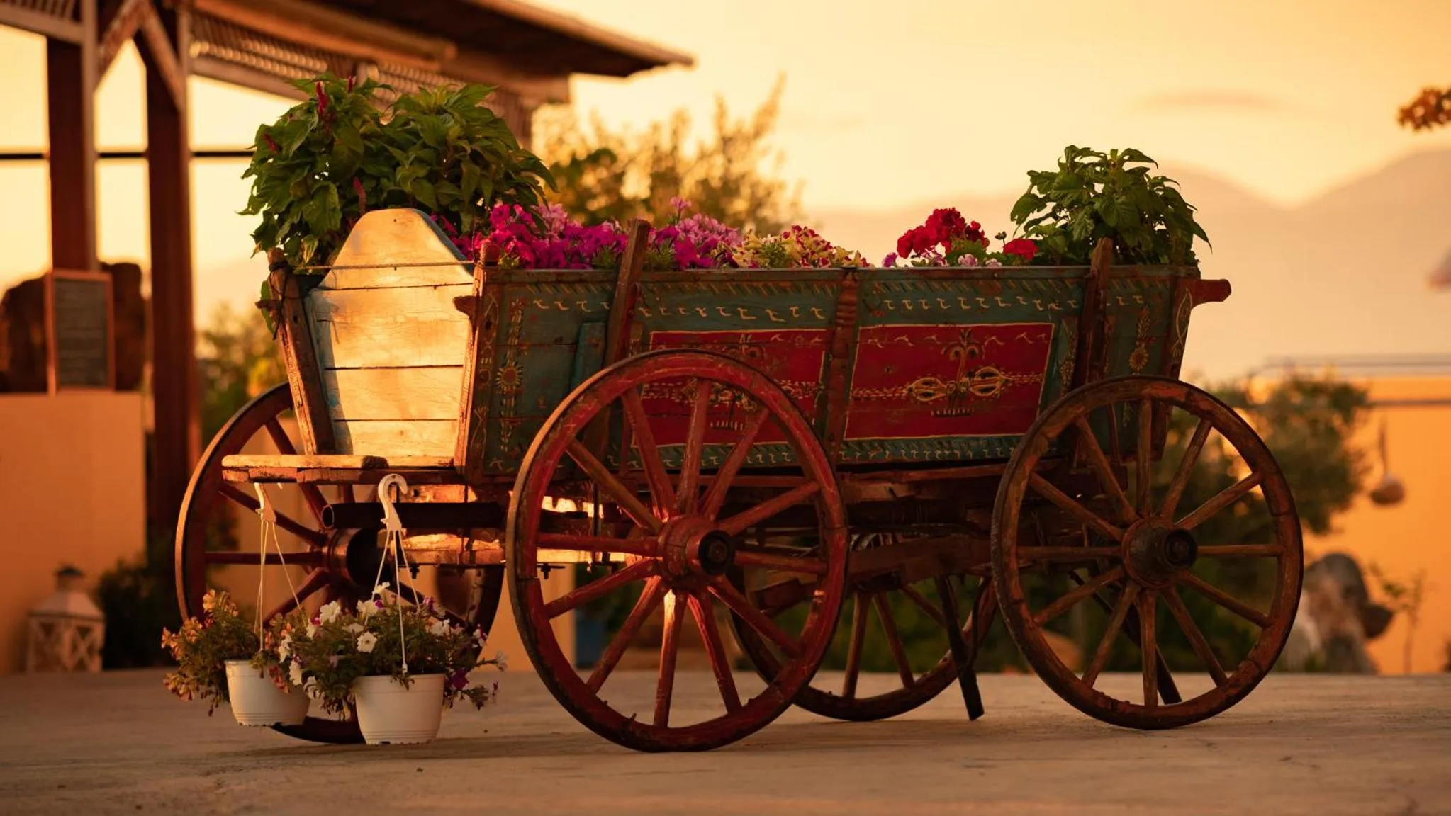 Area and facilities in Elounda Heights (Adults Only)