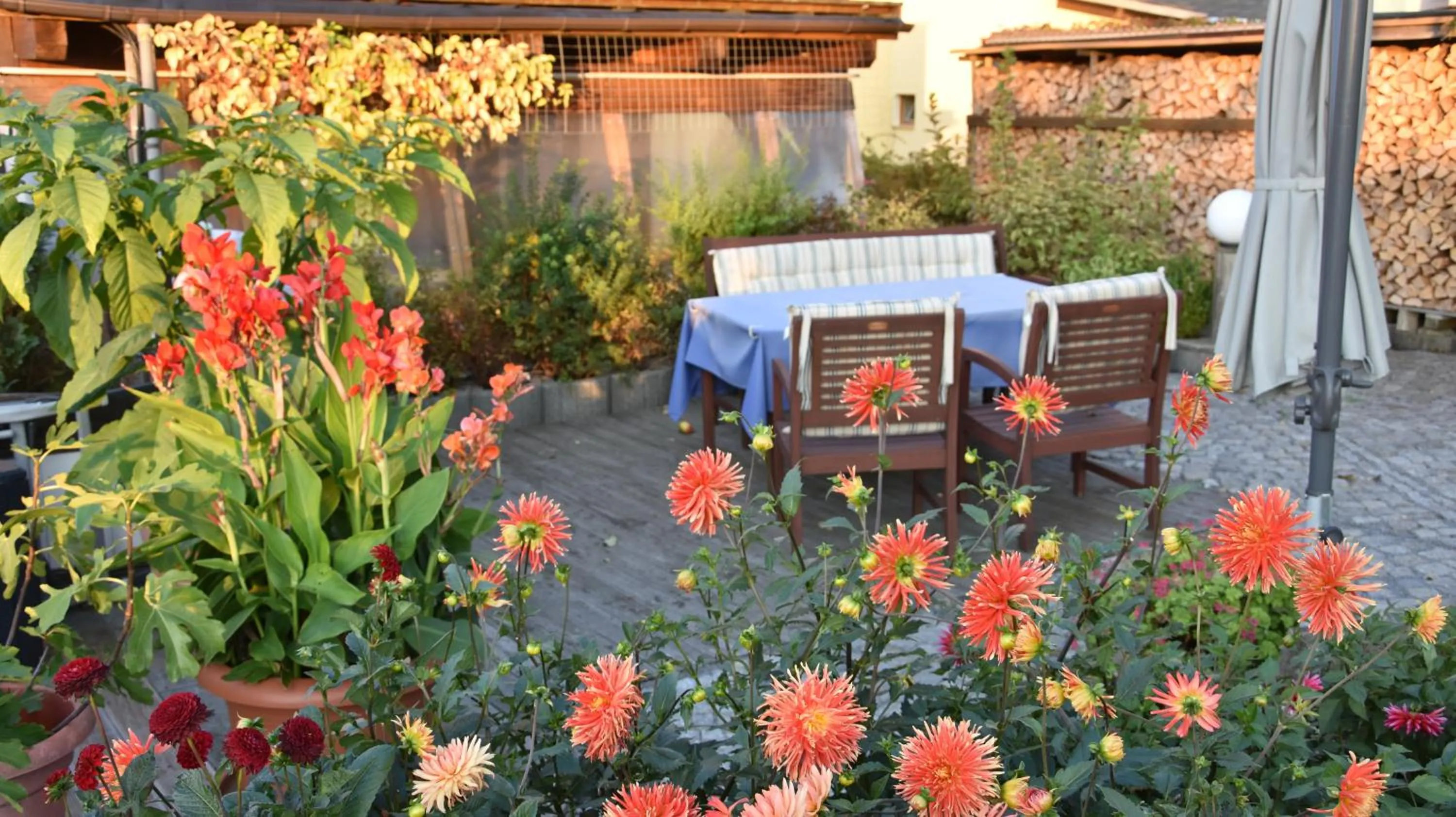 Garden in Ferienwohnung Werner