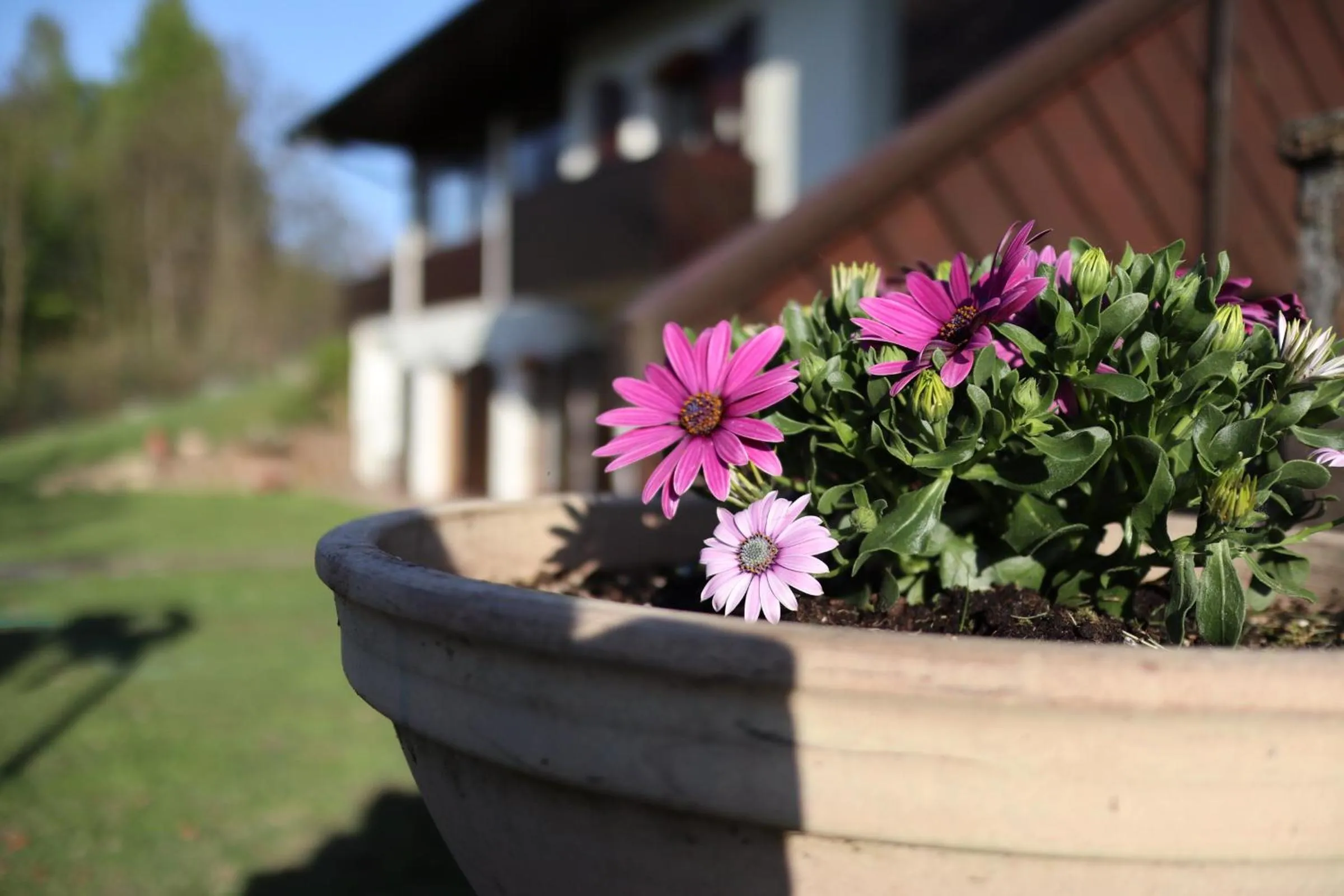 Decorative detail in B&B La Pecora Nera