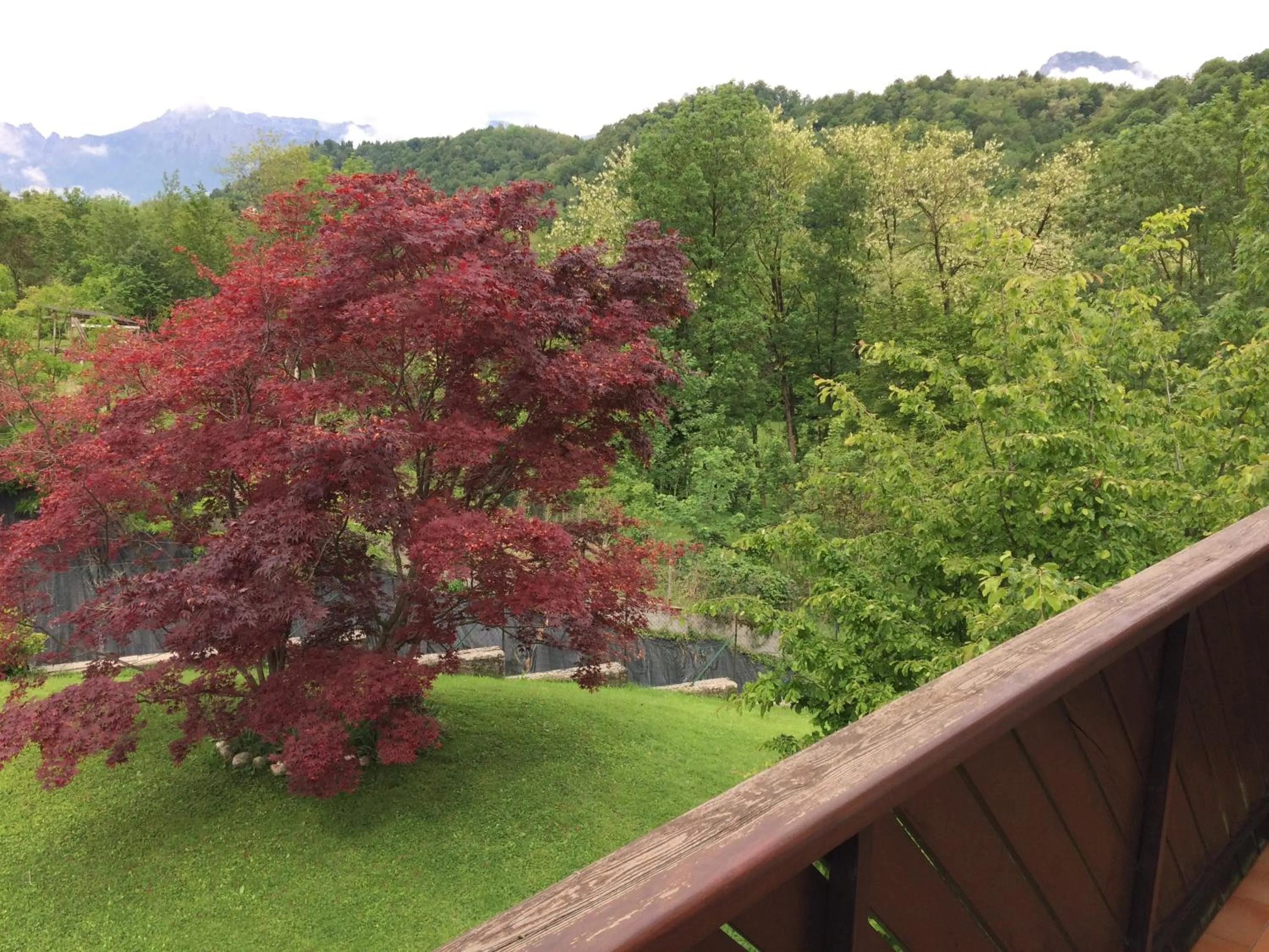 Garden view in B&B La Pecora Nera