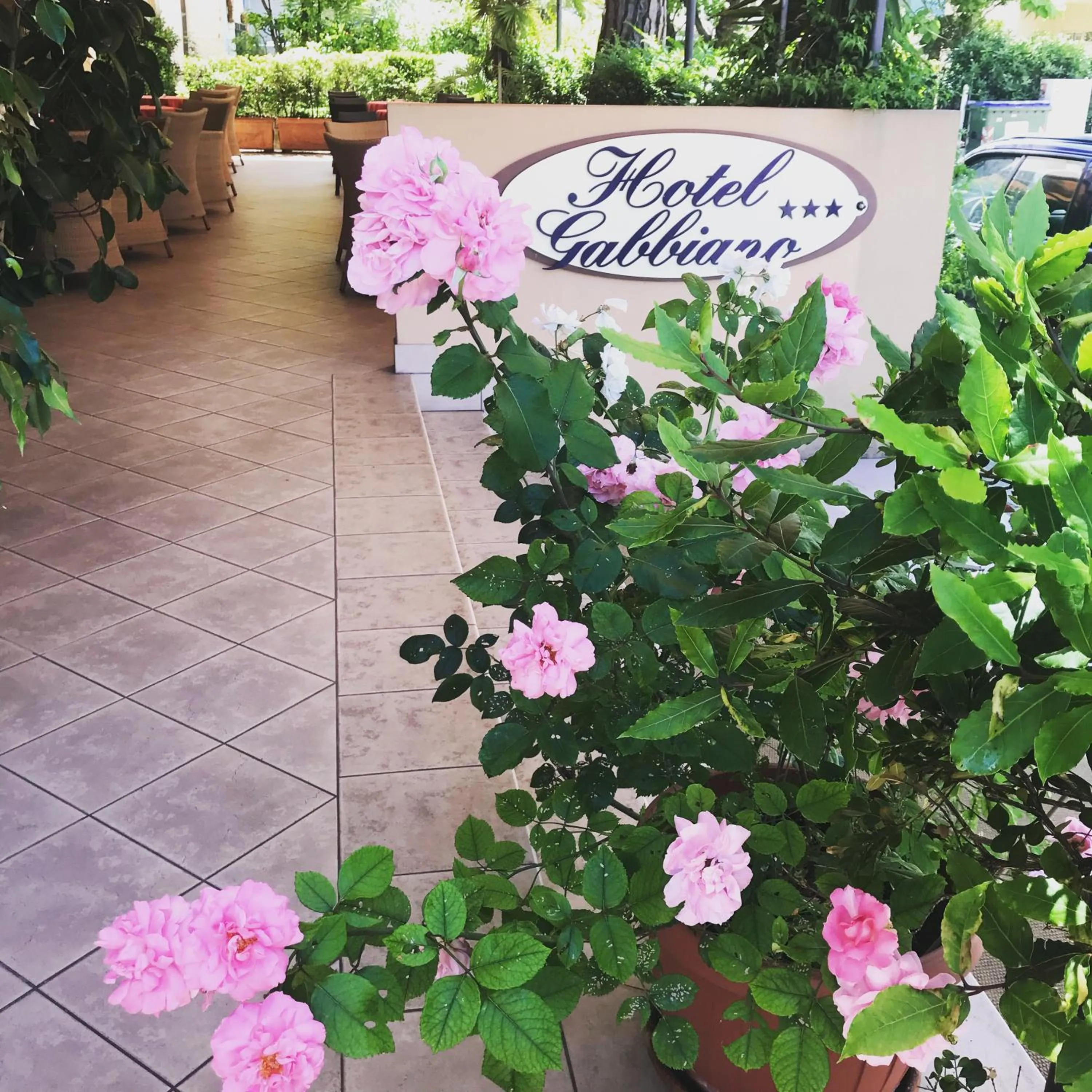 Balcony/Terrace in Hotel Gabbiano