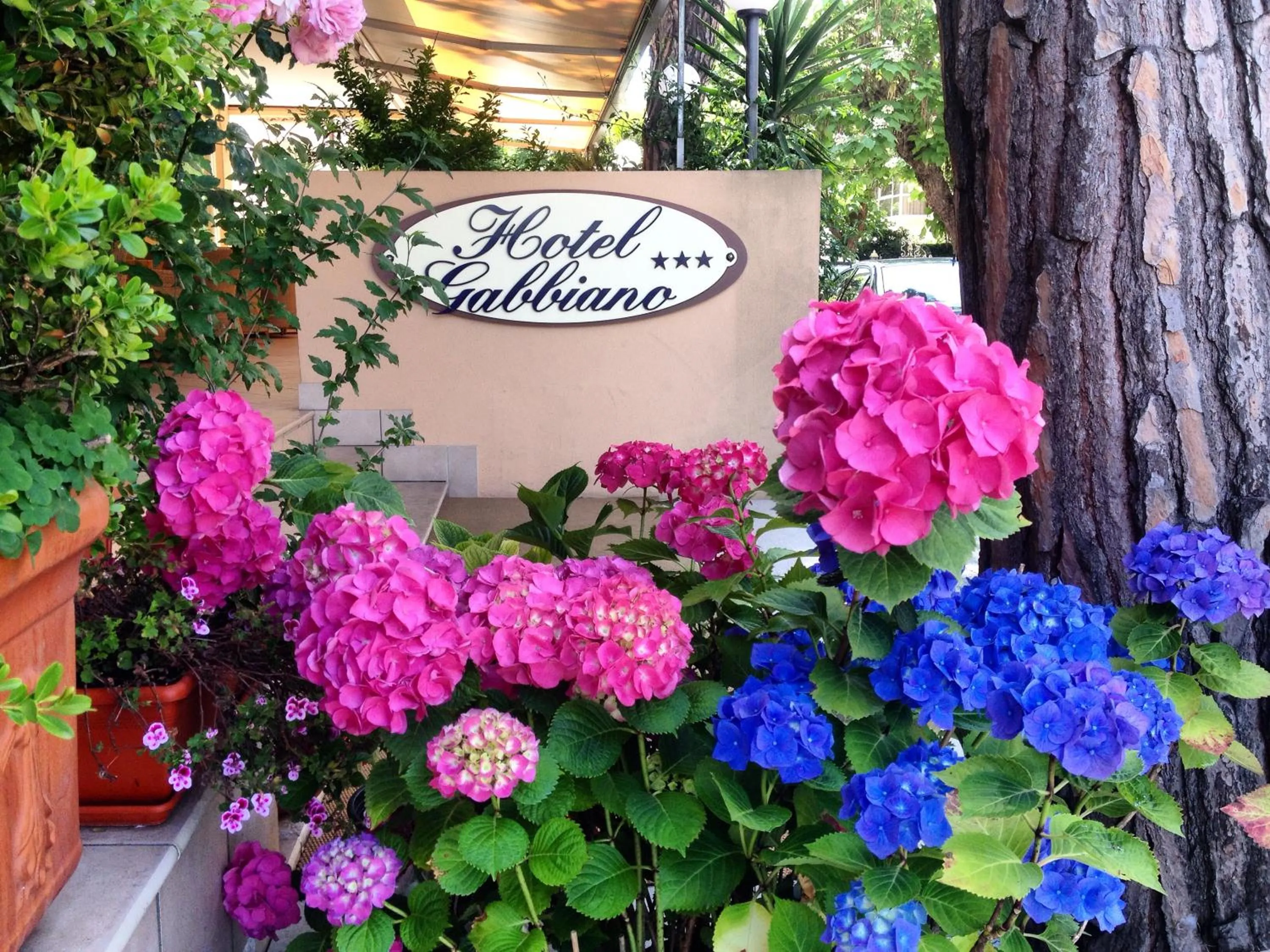 Facade/entrance in Hotel Gabbiano