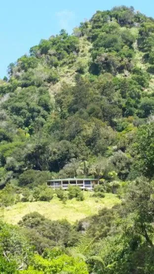 Garden in Waiotemarama Falls Lodge