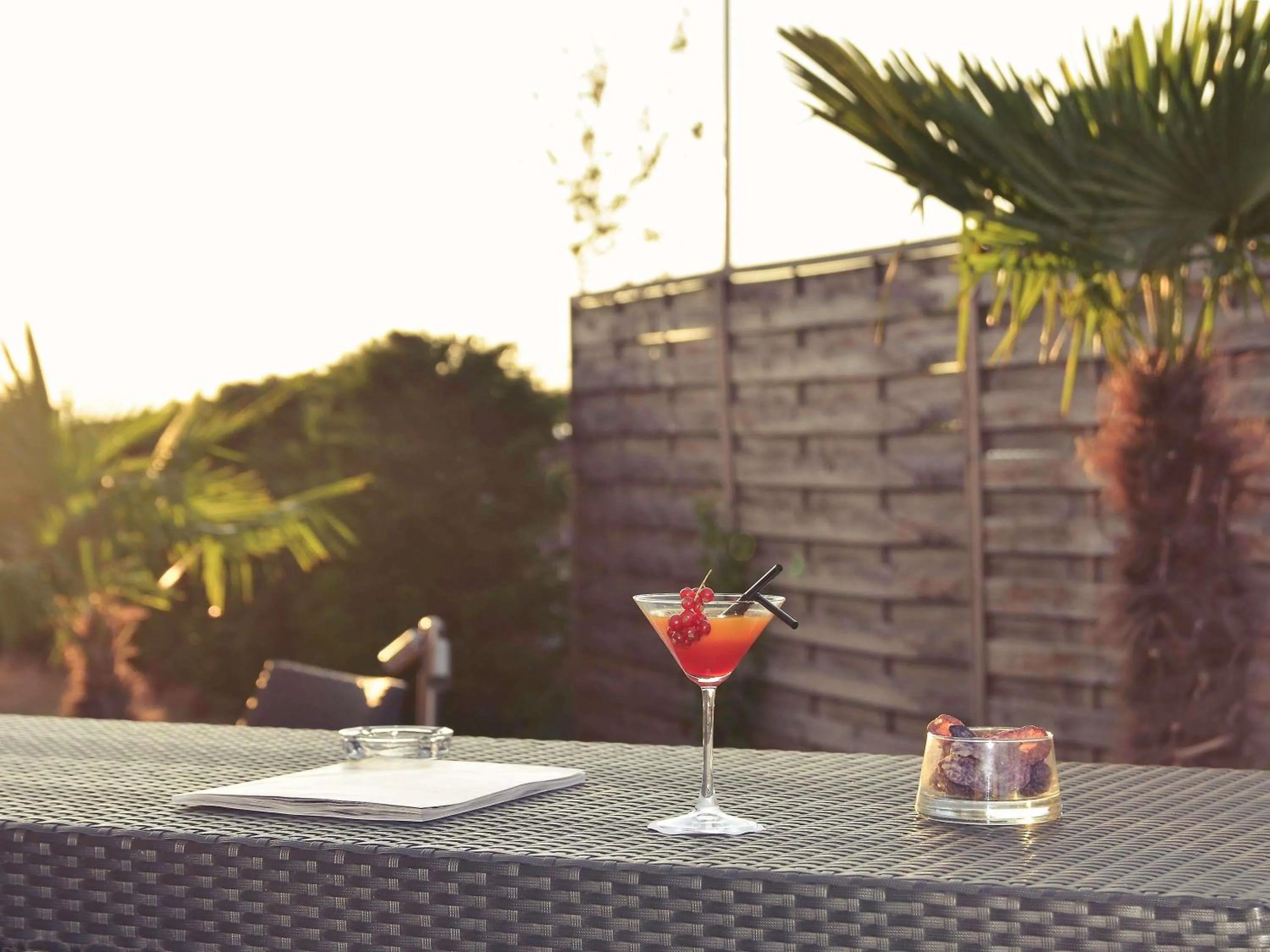 Other in Mercure Lyon Est Chaponnay