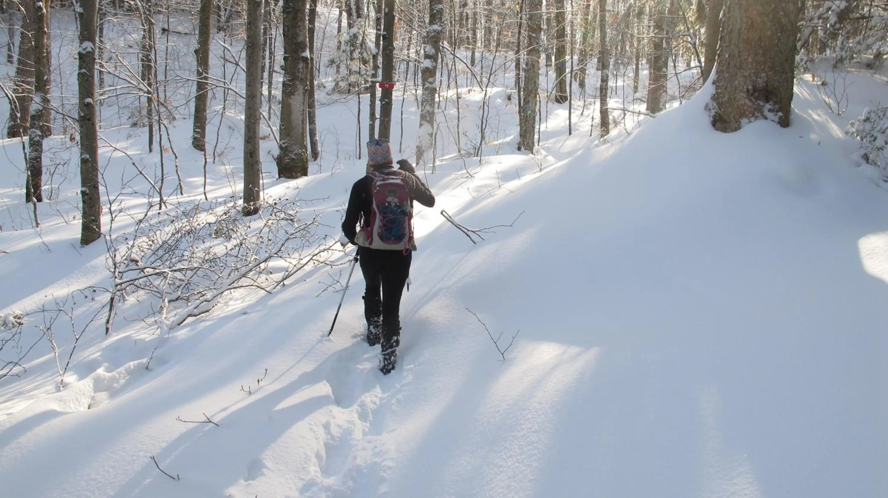 Winter in Gîte La Belle Aventure B&B