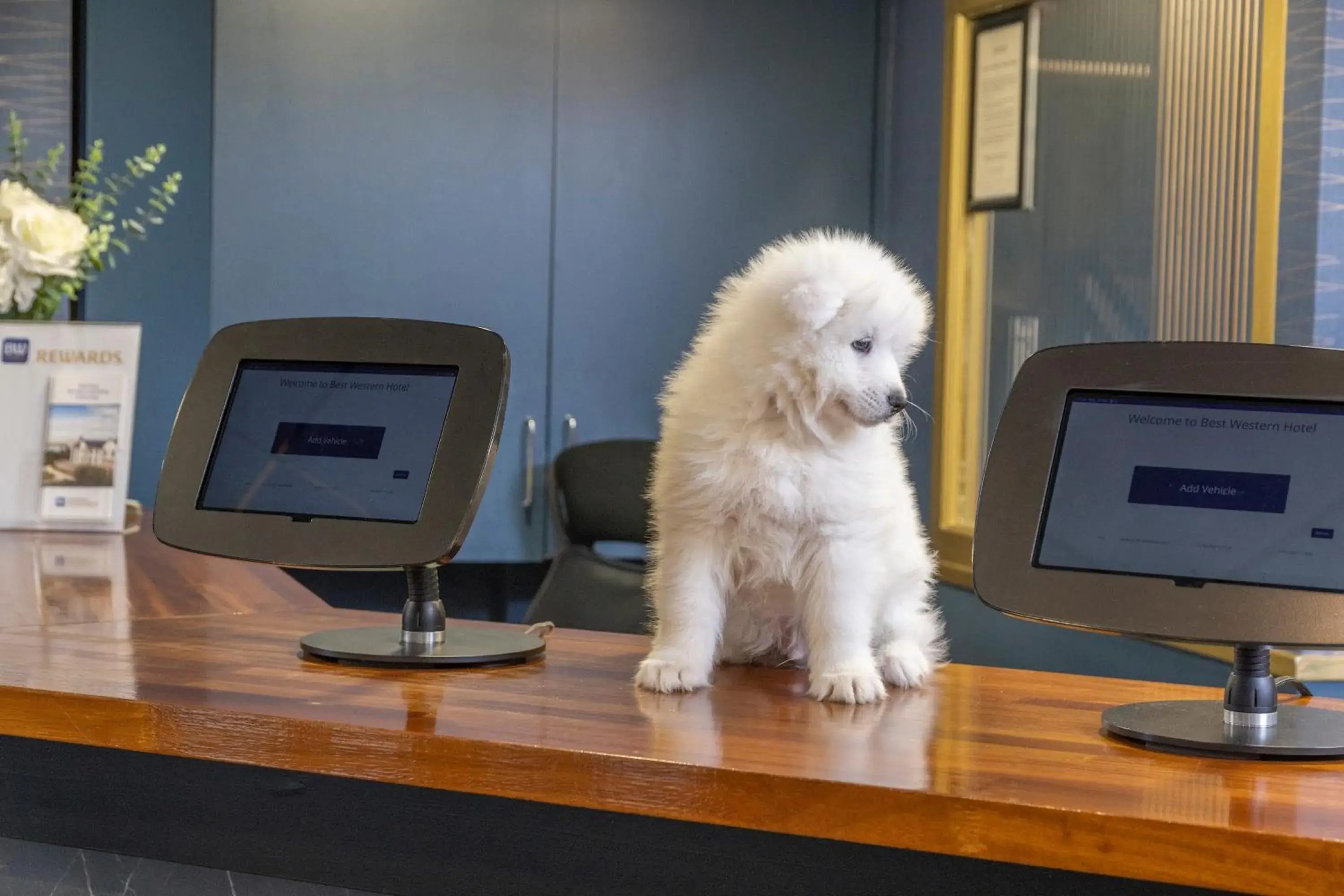Lobby or reception in Hotel St Pierre, Sure Hotel Collection by Best Western Lobby or reception in Hotel St Pierre, Sure Hotel Collection by Best Western