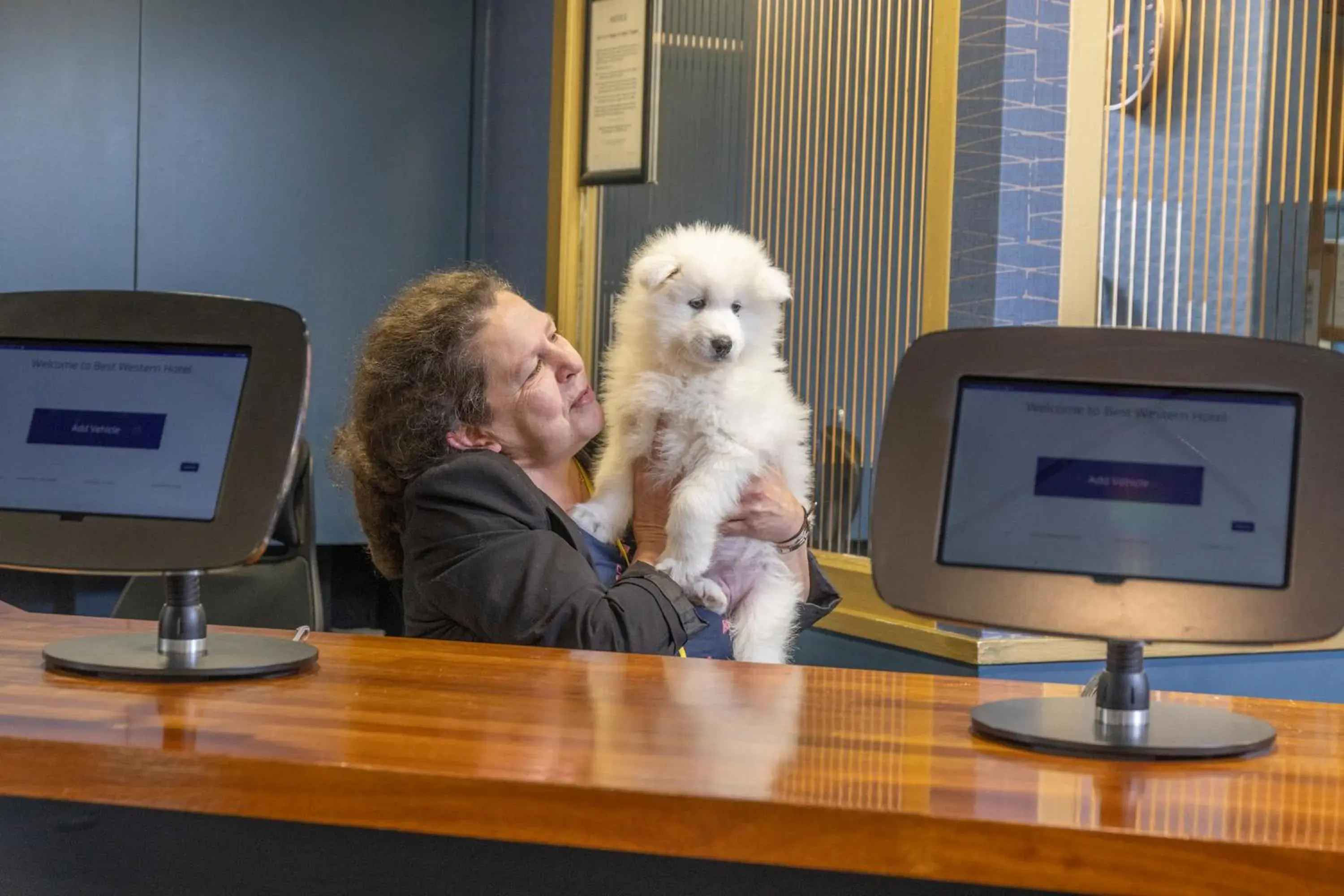 Lobby or reception in Hotel St Pierre, Sure Hotel Collection by Best Western Lobby or reception in Hotel St Pierre, Sure Hotel Collection by Best Western