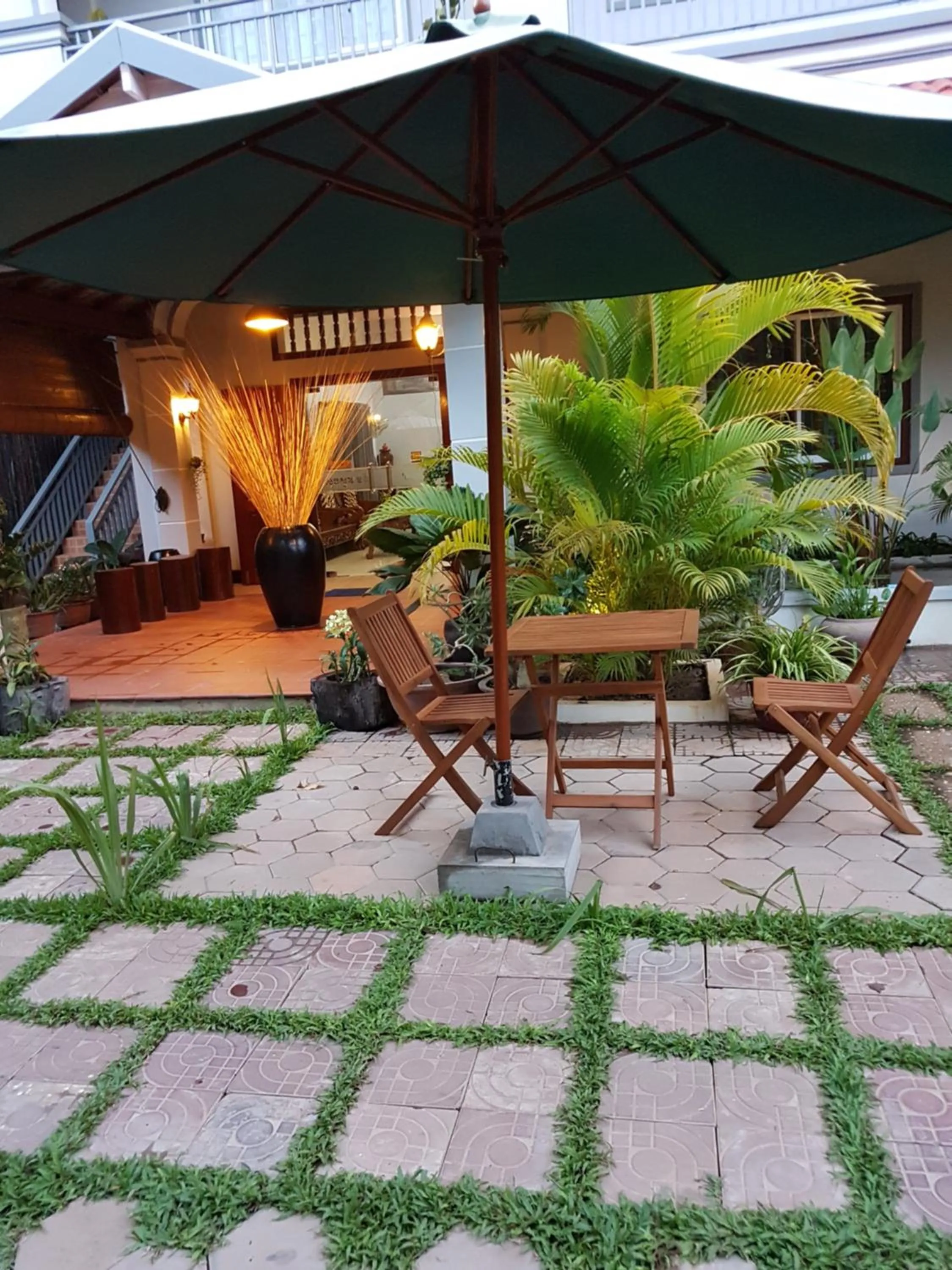 Garden view in Nika's House