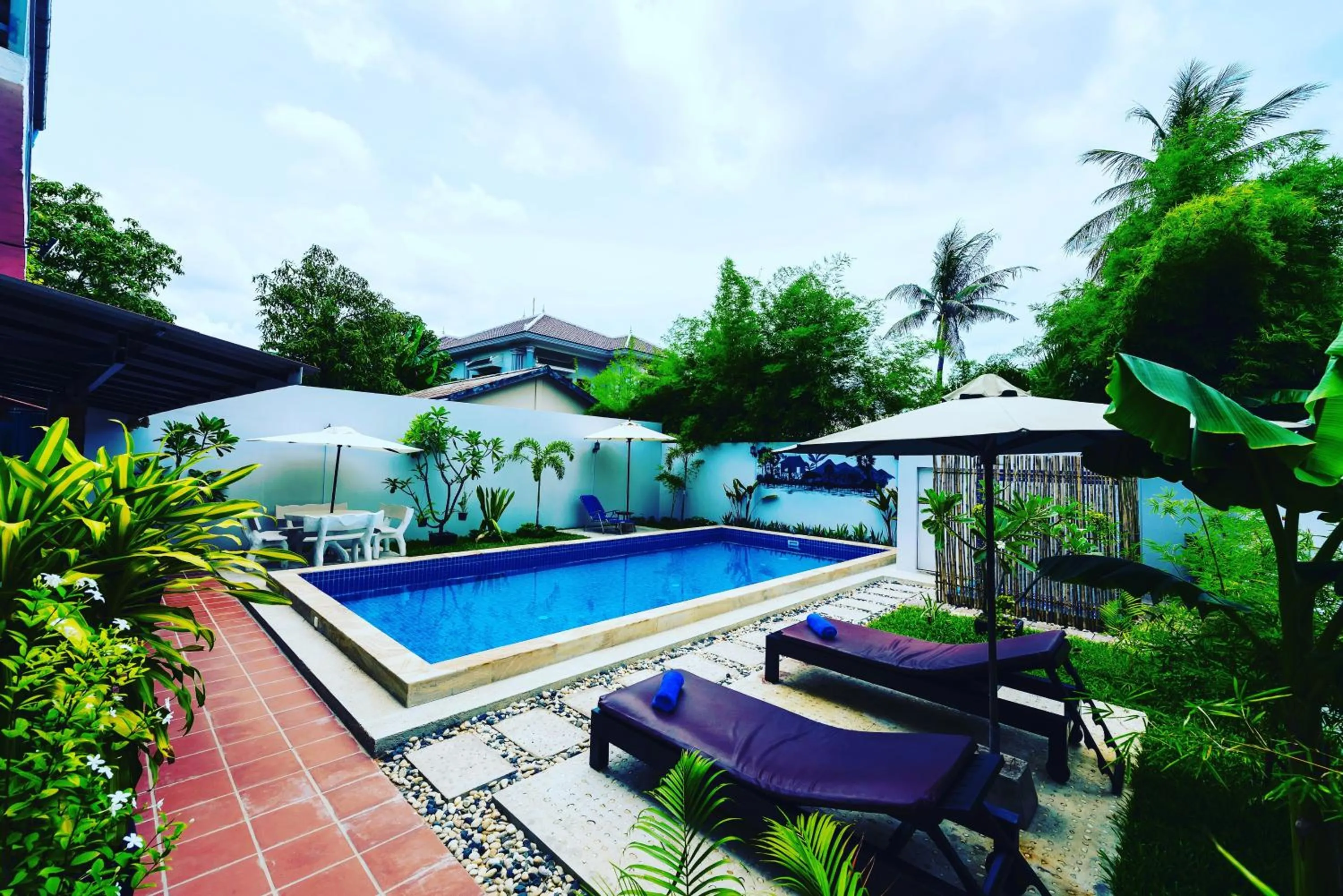 Swimming pool in Nika's House