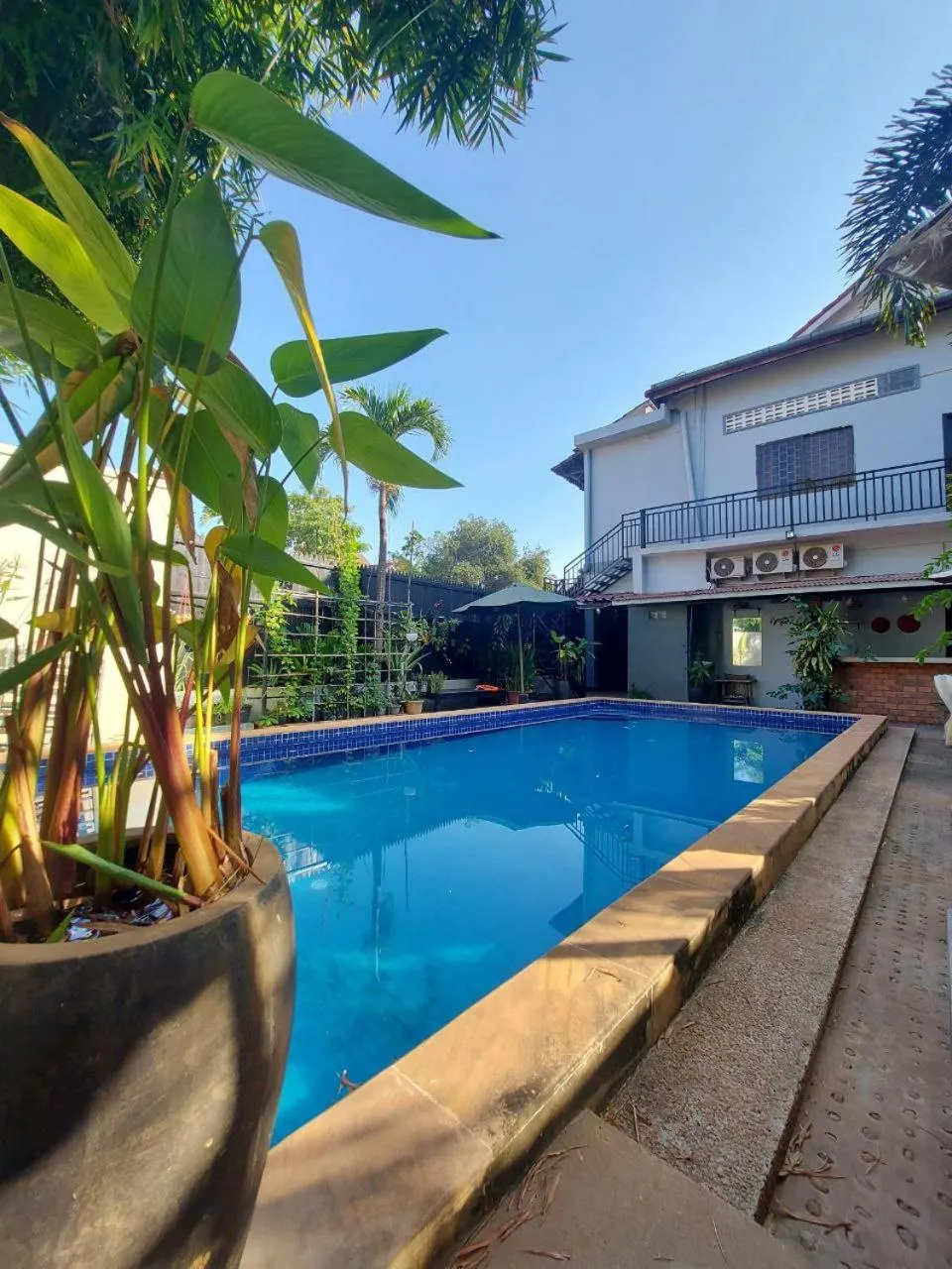 Swimming pool in Nika's House